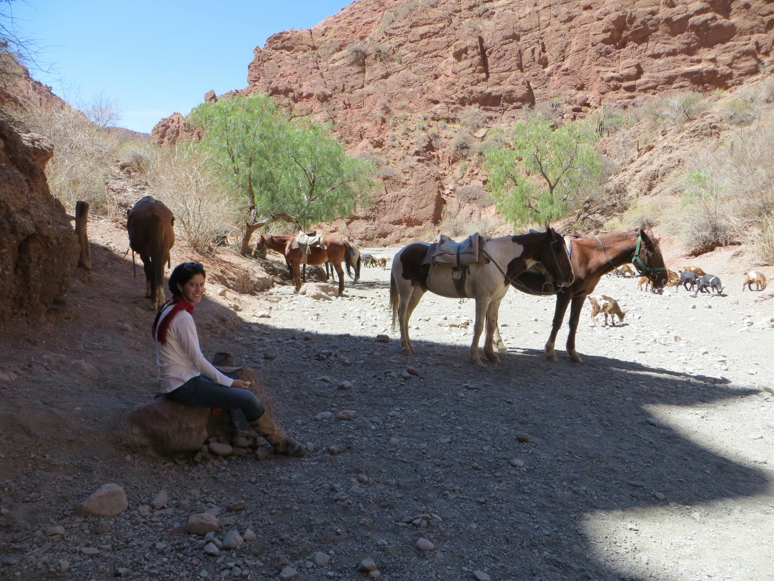 A woman sits on a rock while a few saddled horses stand in a rocky, dry riverbed; red rock cliffs surround the scene.