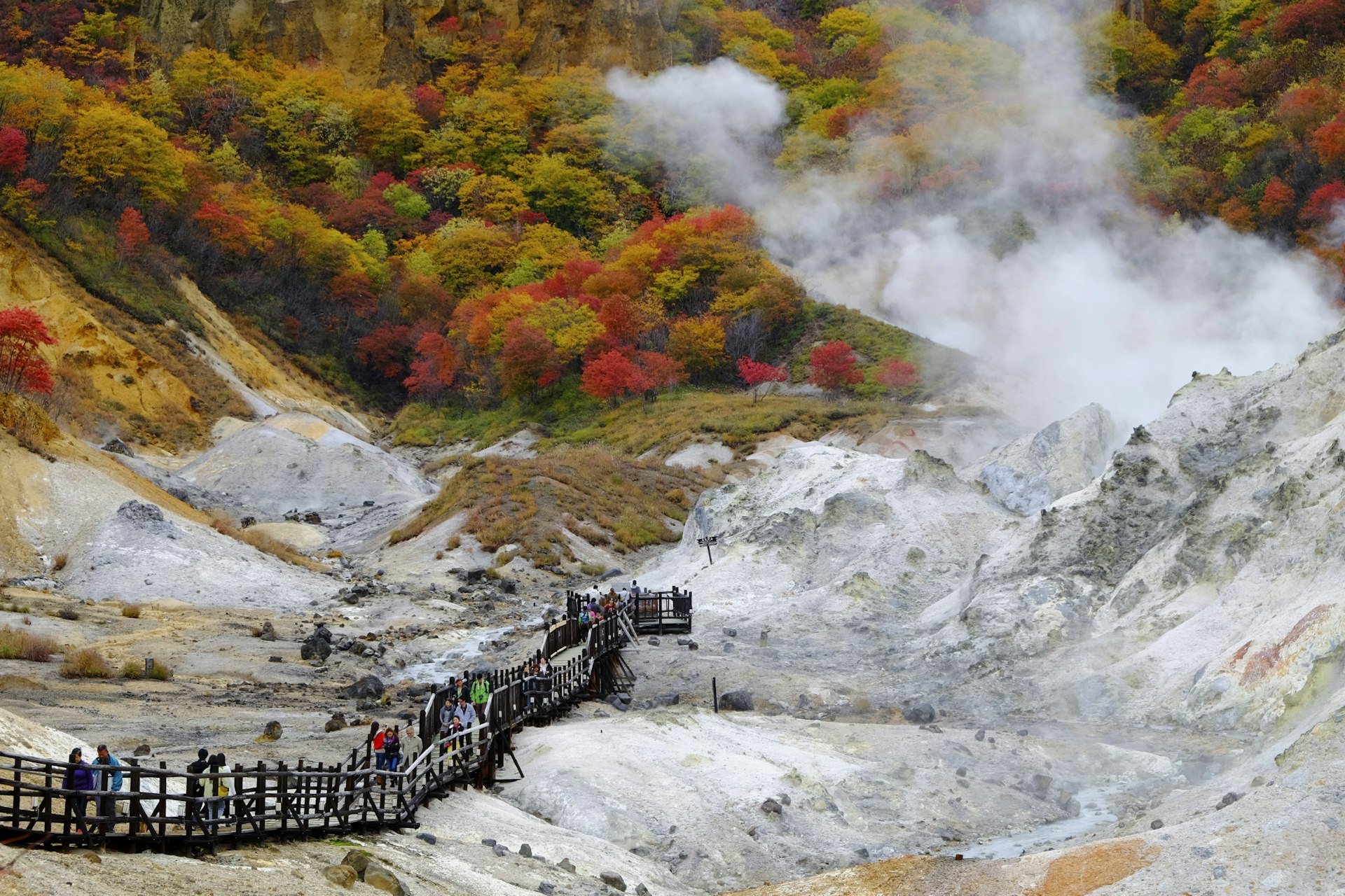 Steam rises from the ground in a valley in Japan