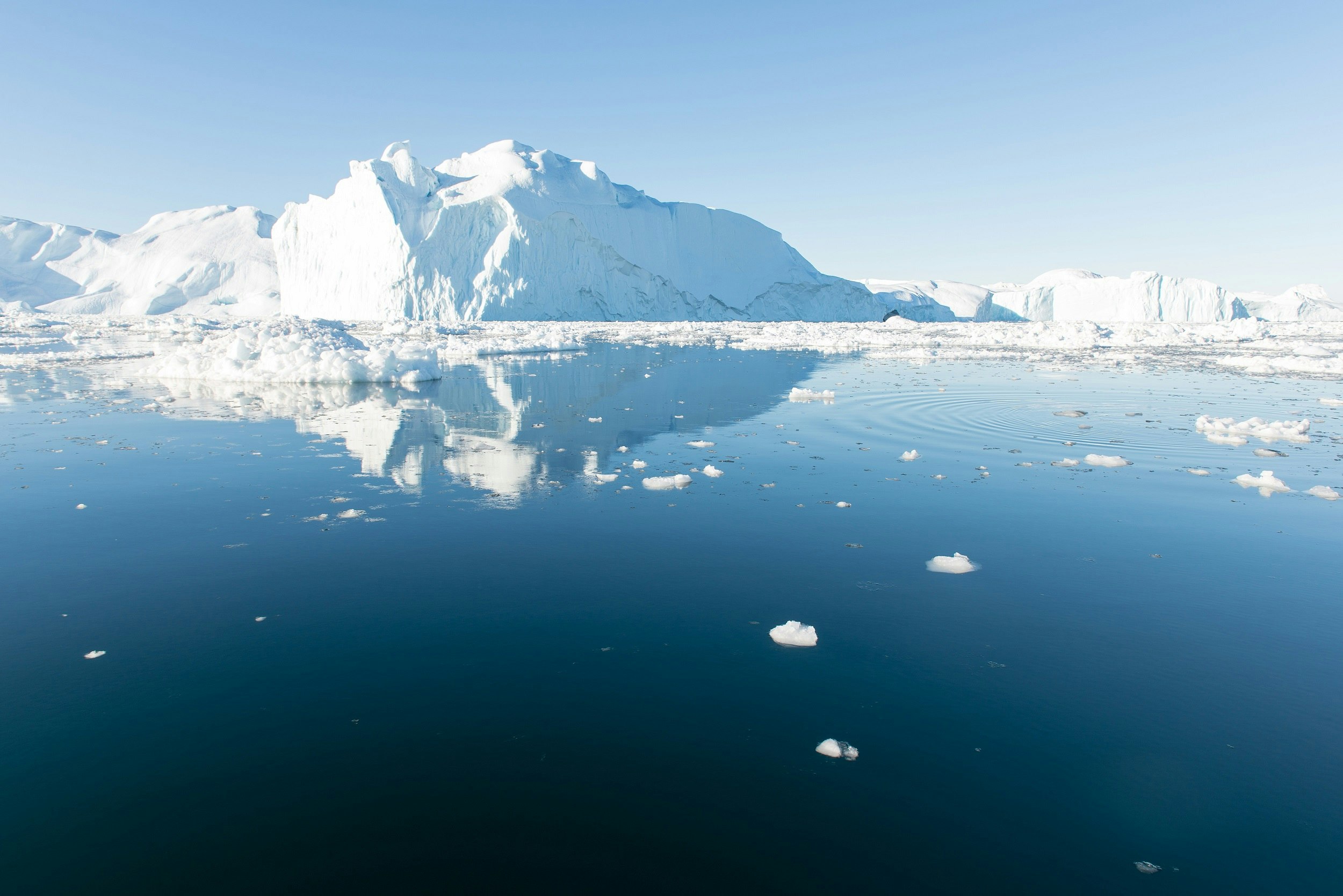 Several giant white icebergs floating through still seawater