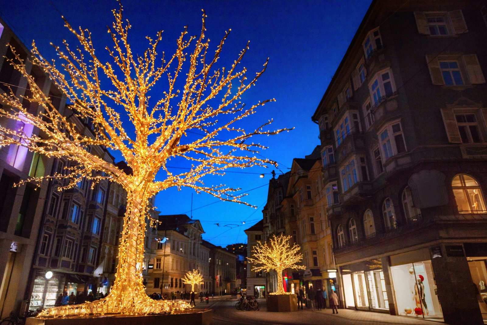 Bare trees covered in fairy lights on a shopping street in Innsbruck.