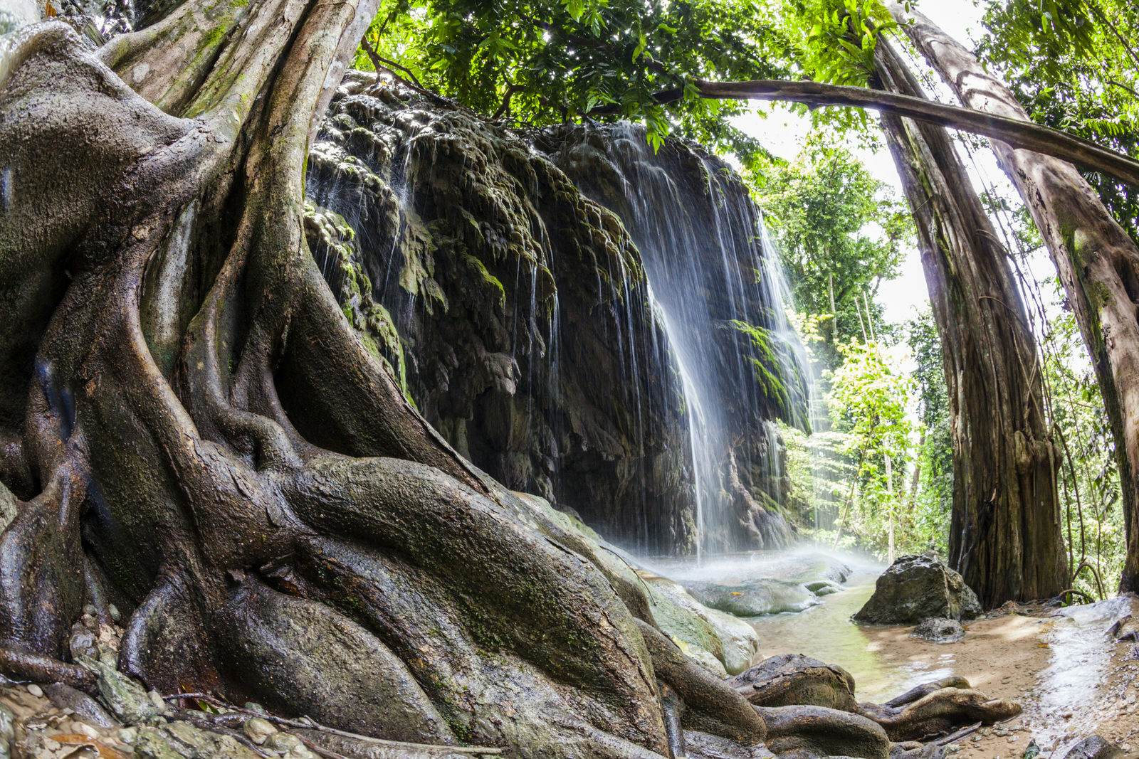 Christmas Island: is this Australia’s best kept travel secret? – Lonely Planet - Lonely Planet