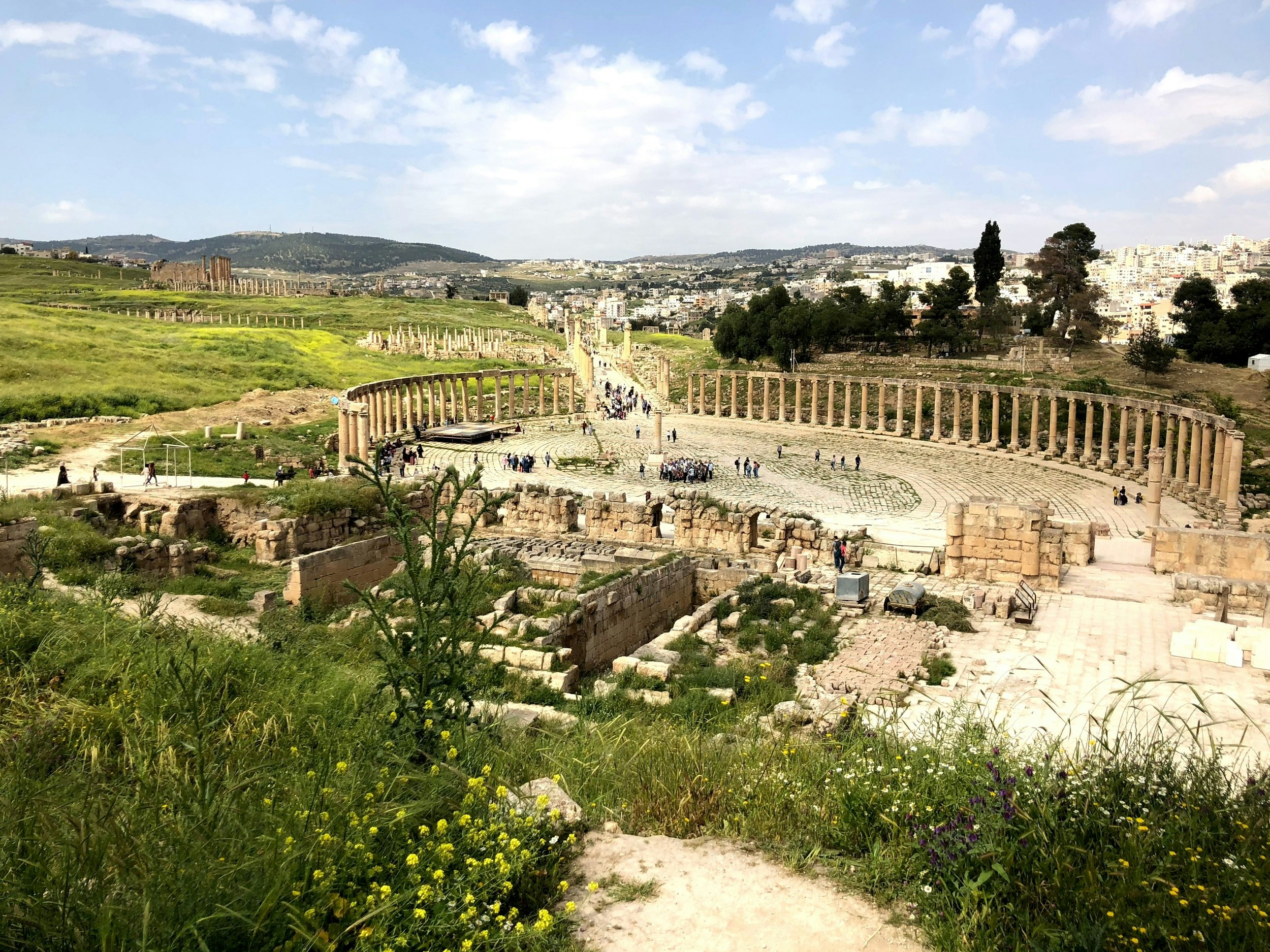 Taken from a spring-flower-filled hill, this image looks over a semi-circular set of pillars that are part of Roman ruins.