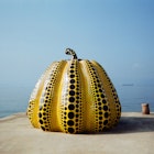 kagawa-big-yellow-pumpkin.jpg
