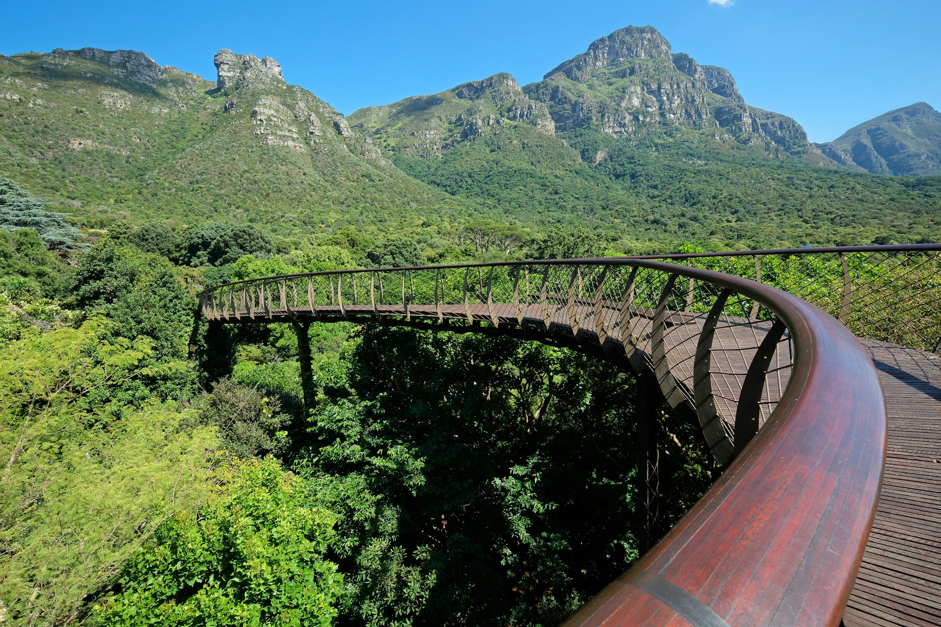 A curving wooden walkway sweeps through the landscape above the botanical garden; Table Mountain makes a stunning backdrop.