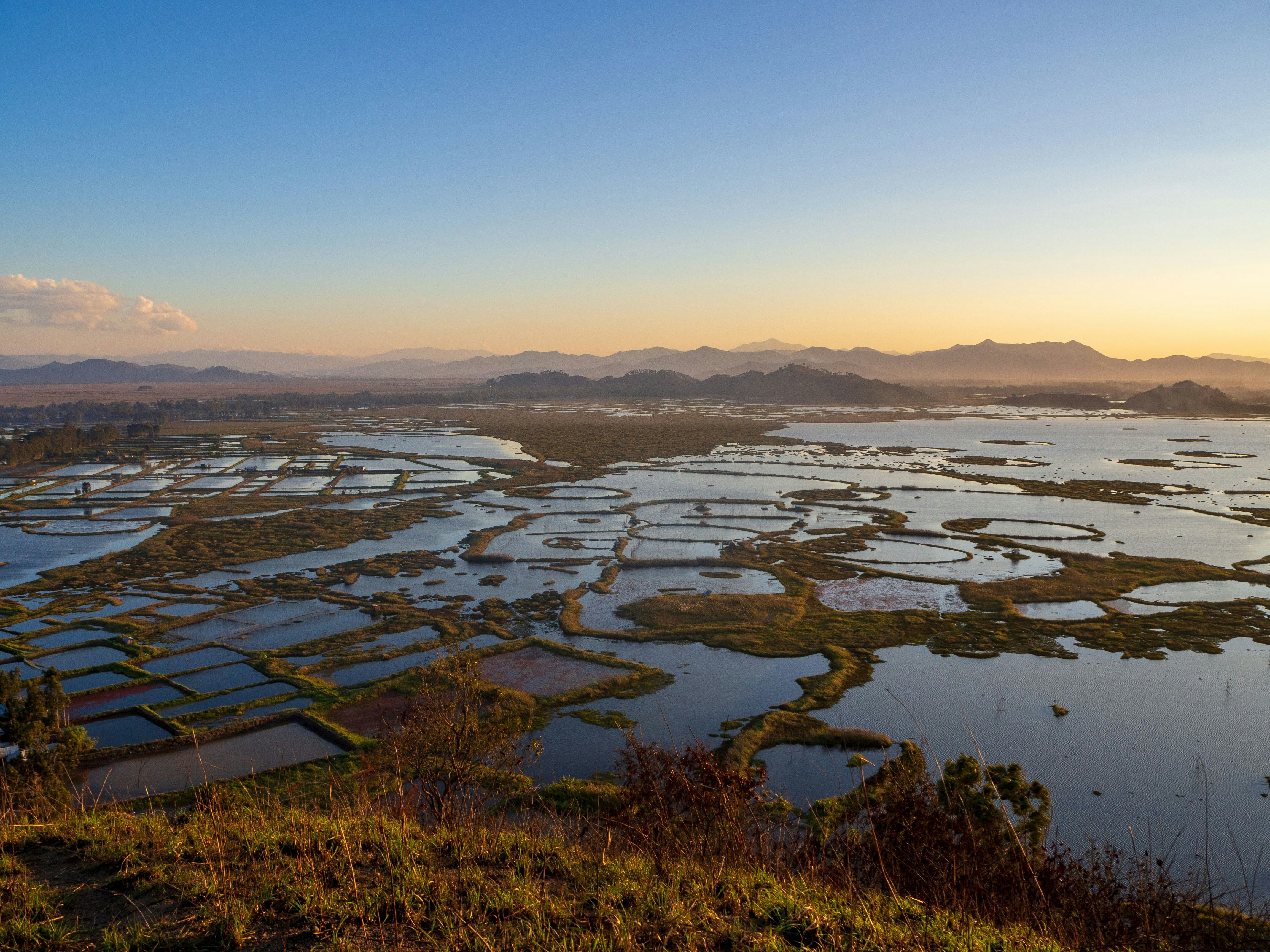 Aerial view of Loktak Lake, showing its green islands of vegetation which float on the lake's surface. The lake is backed by mountains in the distance.