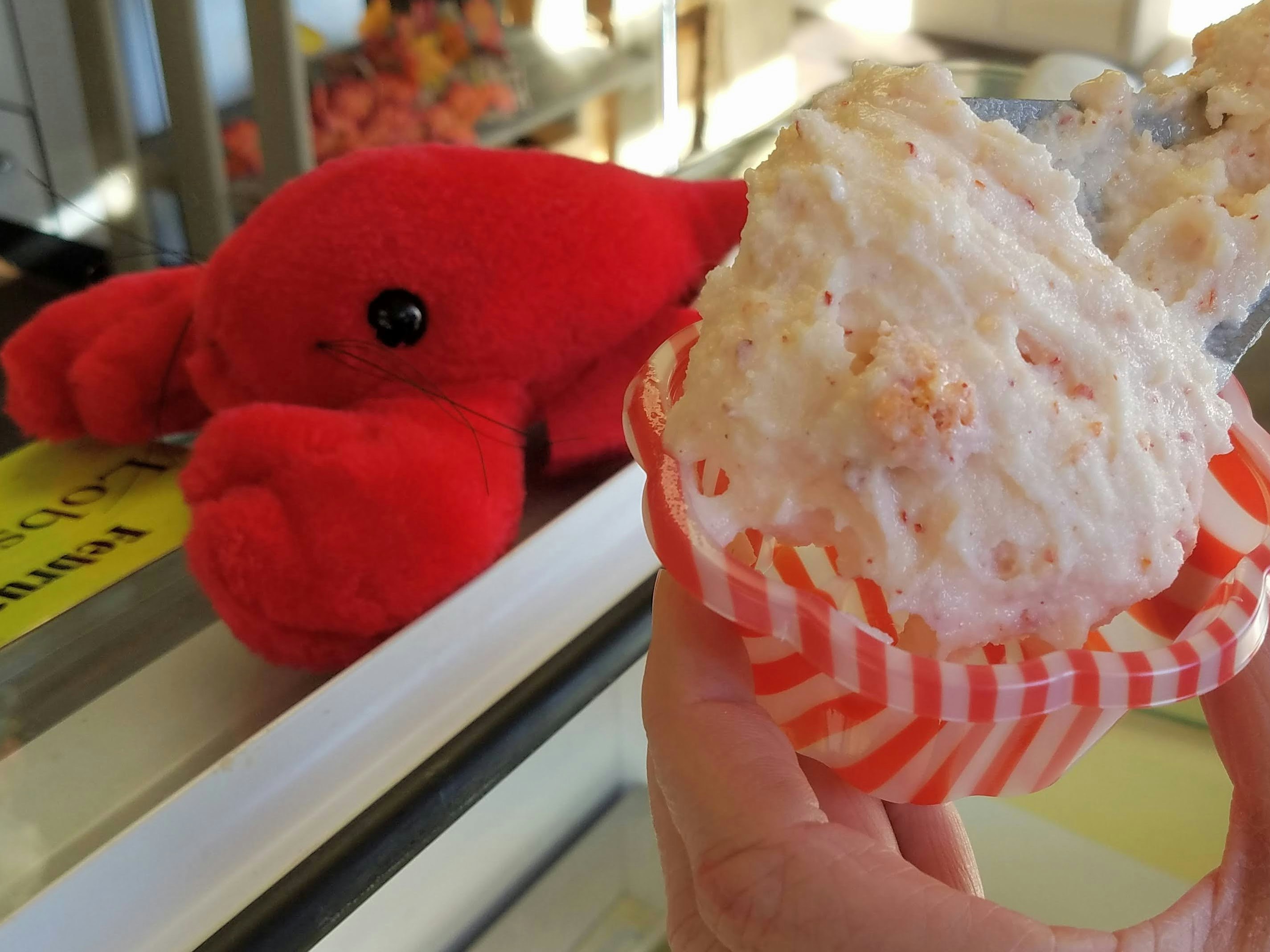 The photographer's hand is holding a plastic cup of Acadian Maple's lobster gelato in the frame. There's a counter with a lobster soft toy in the background.