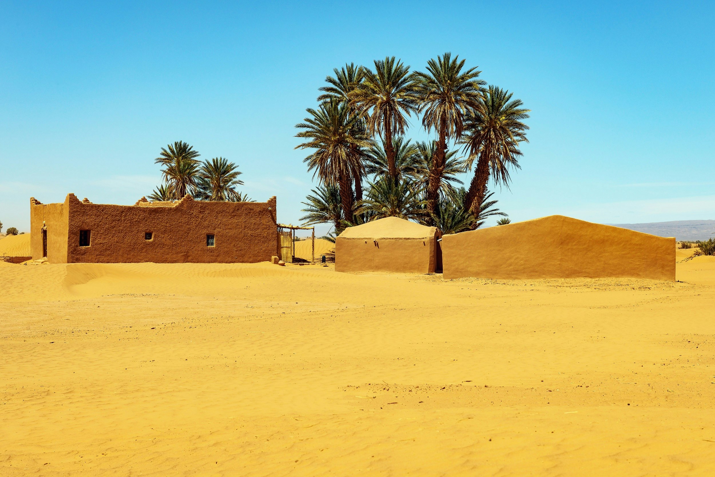 Three mud-brick buildings sit around a stand of palms in the sands of the Sahara desert; a cloudless sky hangs over it all.
