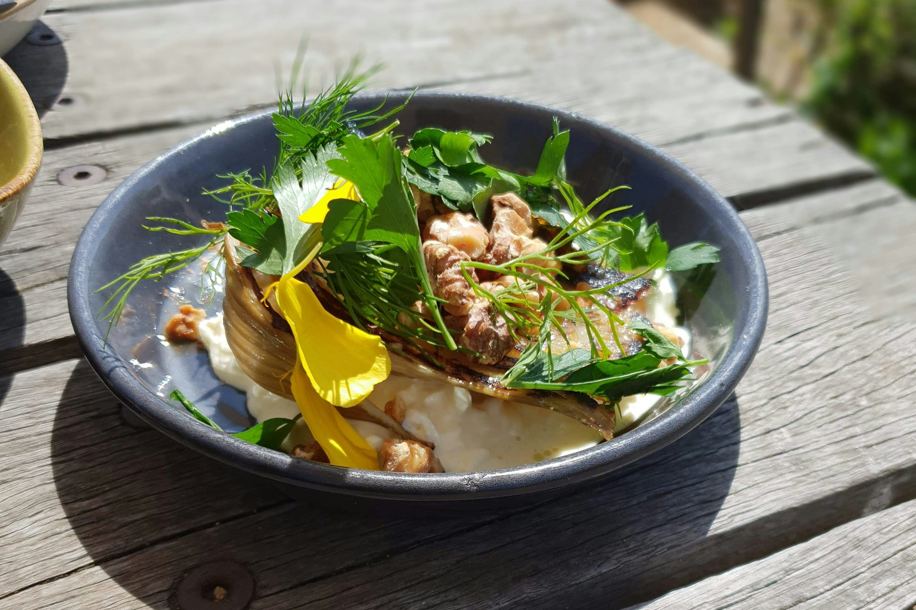 Ett grått fat står på ett utomhus träbord på Montalto.  Skålen innehåller grillad fänkål med ricottaost och är dekorerad med gula kronblad.