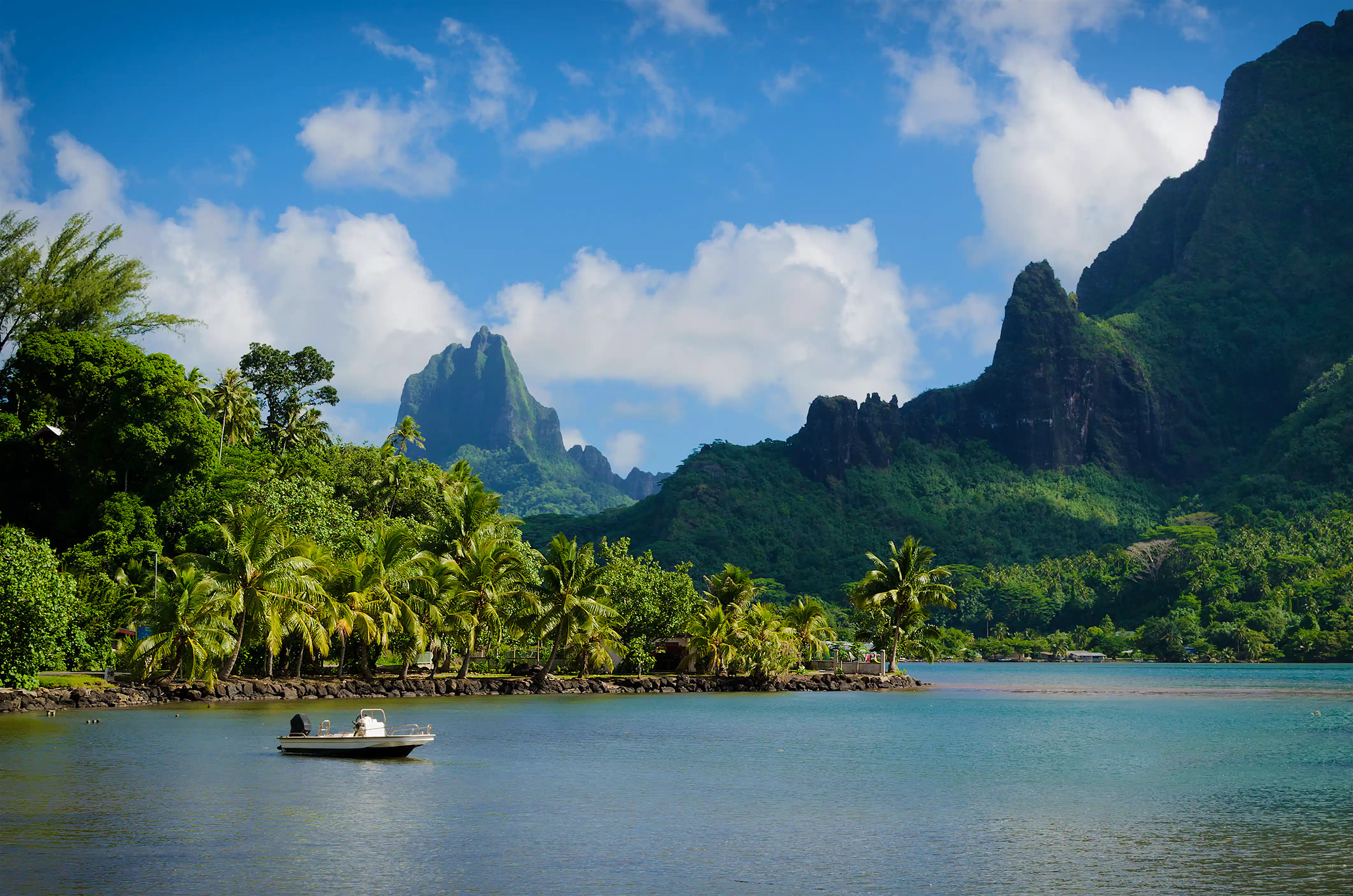 A date with the ocean in Mo'orea, French Polynesia - Lonely Planet