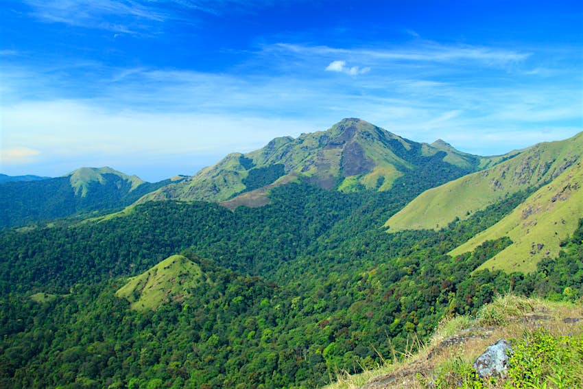 Πράσινη βλάστηση υψώνεται στις πλαγιές του όρους Tadiandamol στην περιοχή Karnataka της Ινδίας