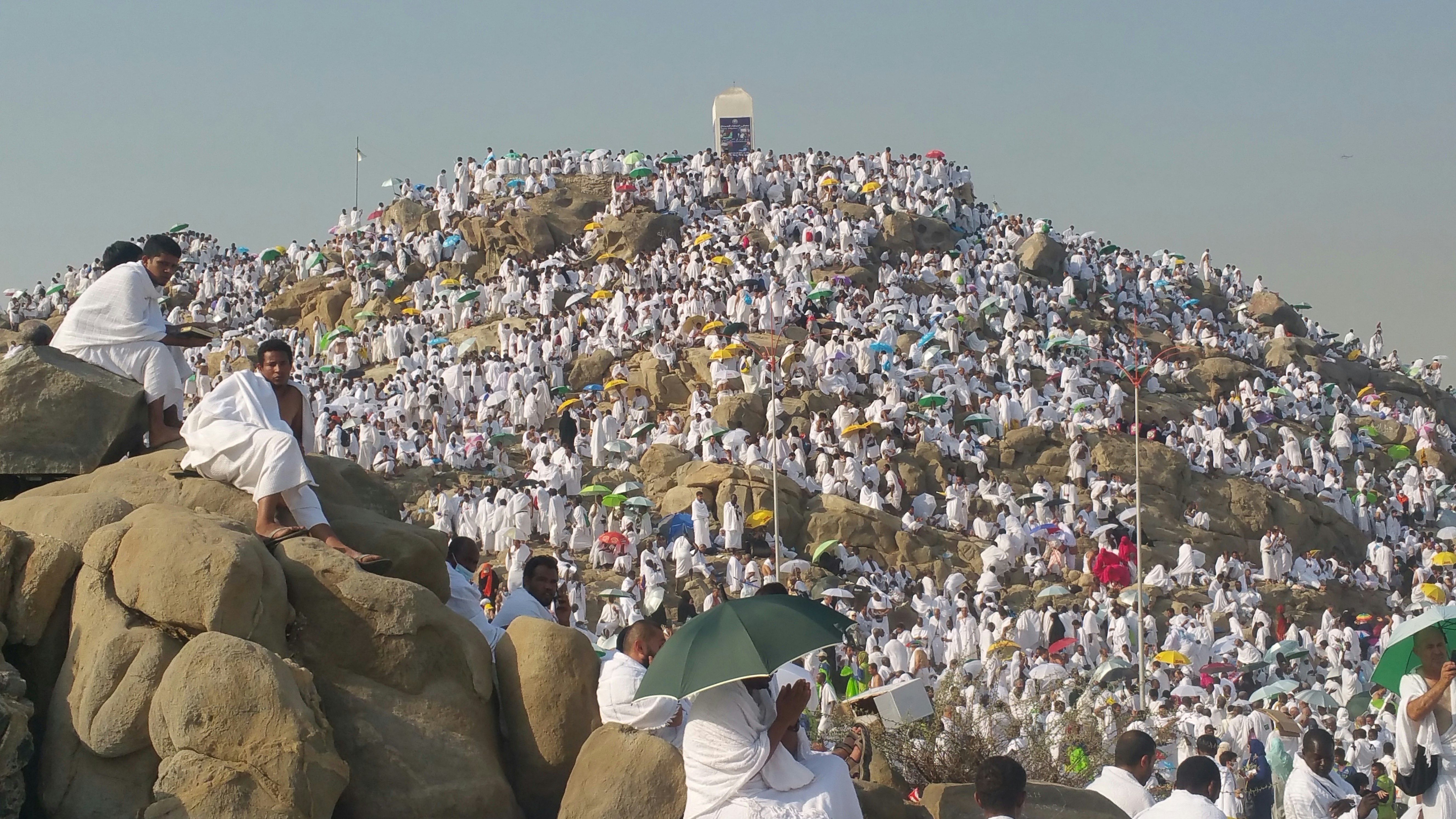 Pilgrims cover Mount Arafat during the Hajj