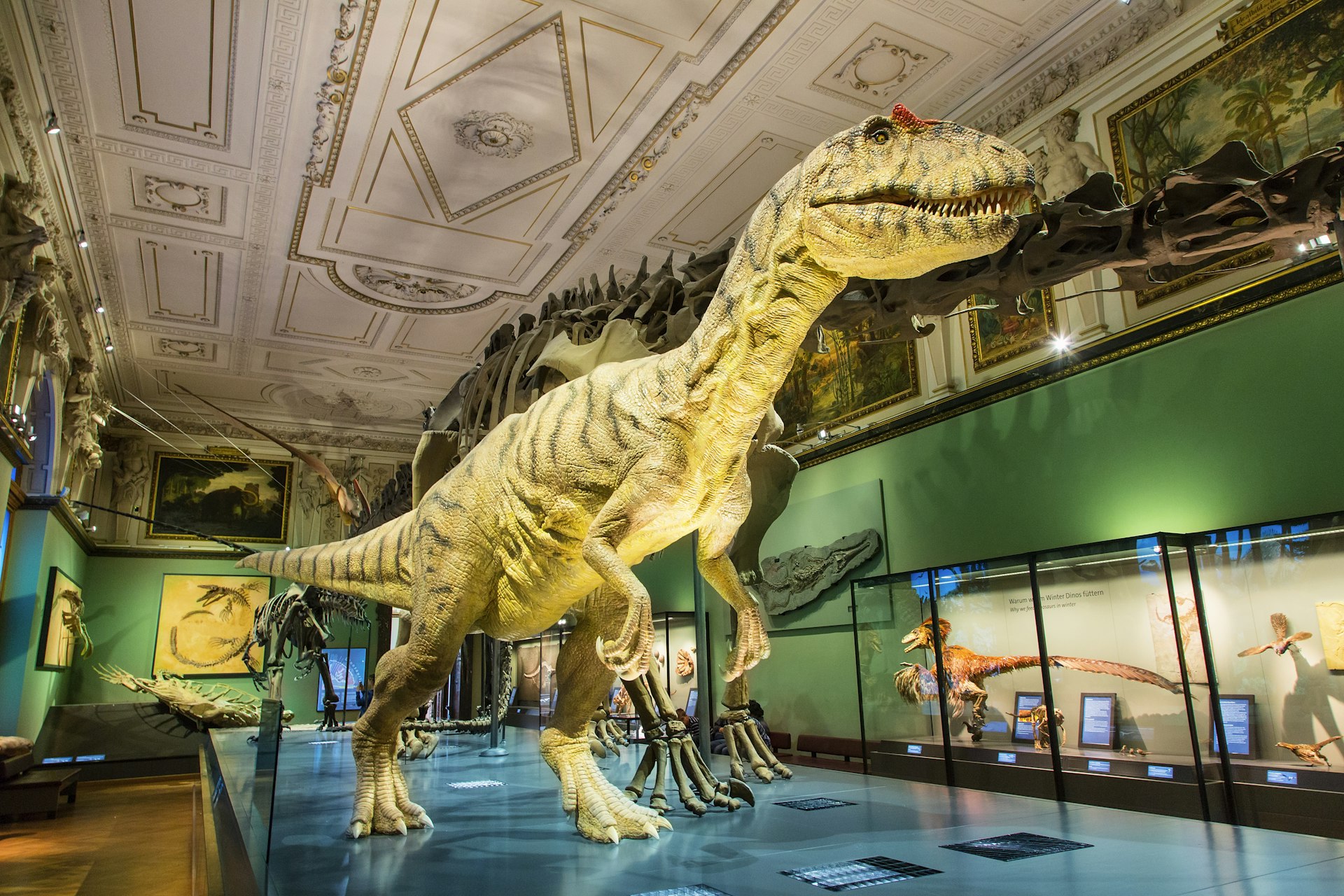 A huge model of a carnivorous dinosaur stands next to a complete skeleton of another inside the Natural History Museum in Vienna.