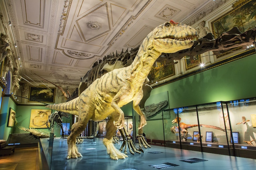 natural-history-museum-vienna-dinosaur.jpg