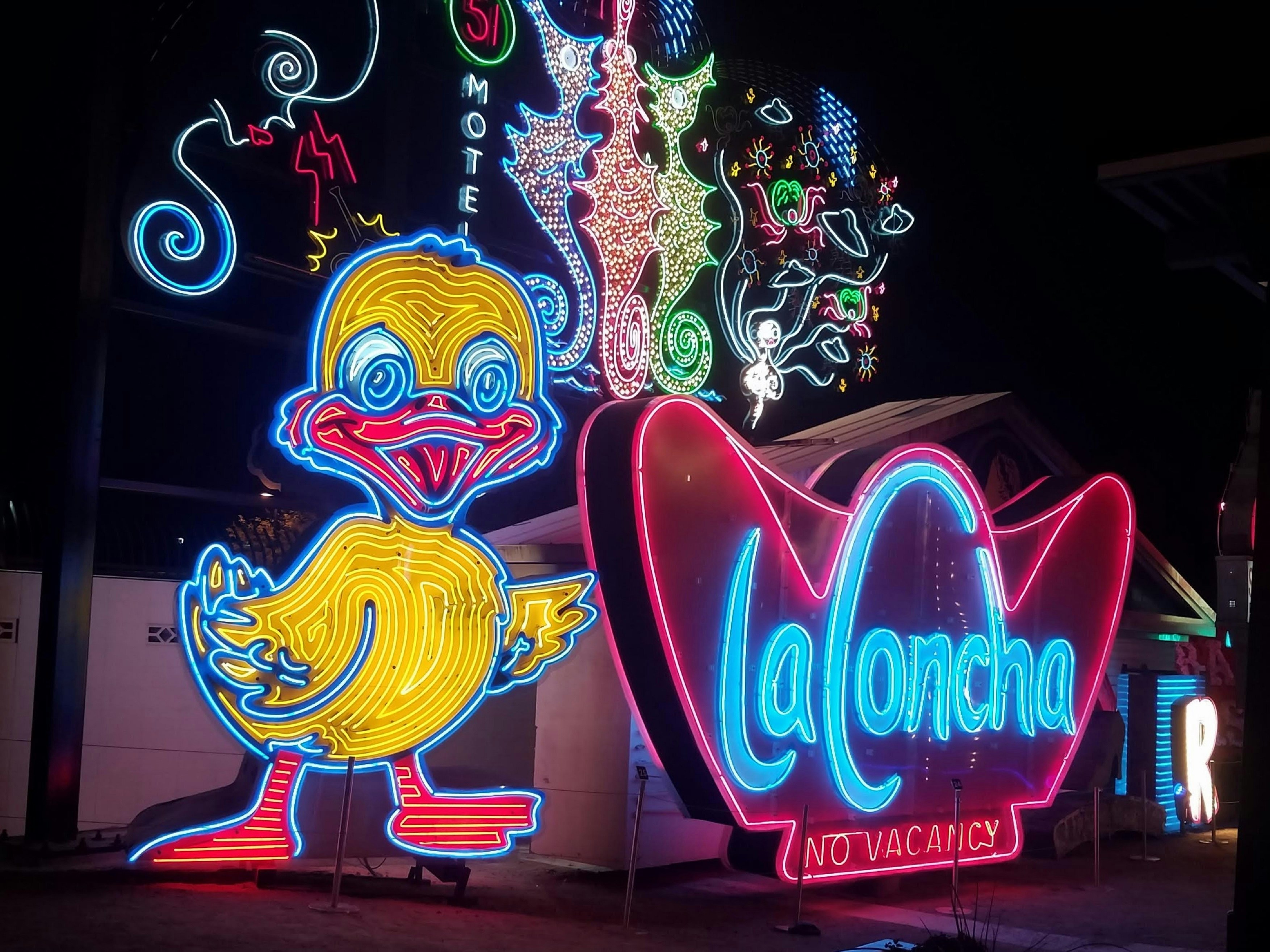 A night-time shot of a collection of neon signs; one is of a yellow duck and the others are colorful motel signs