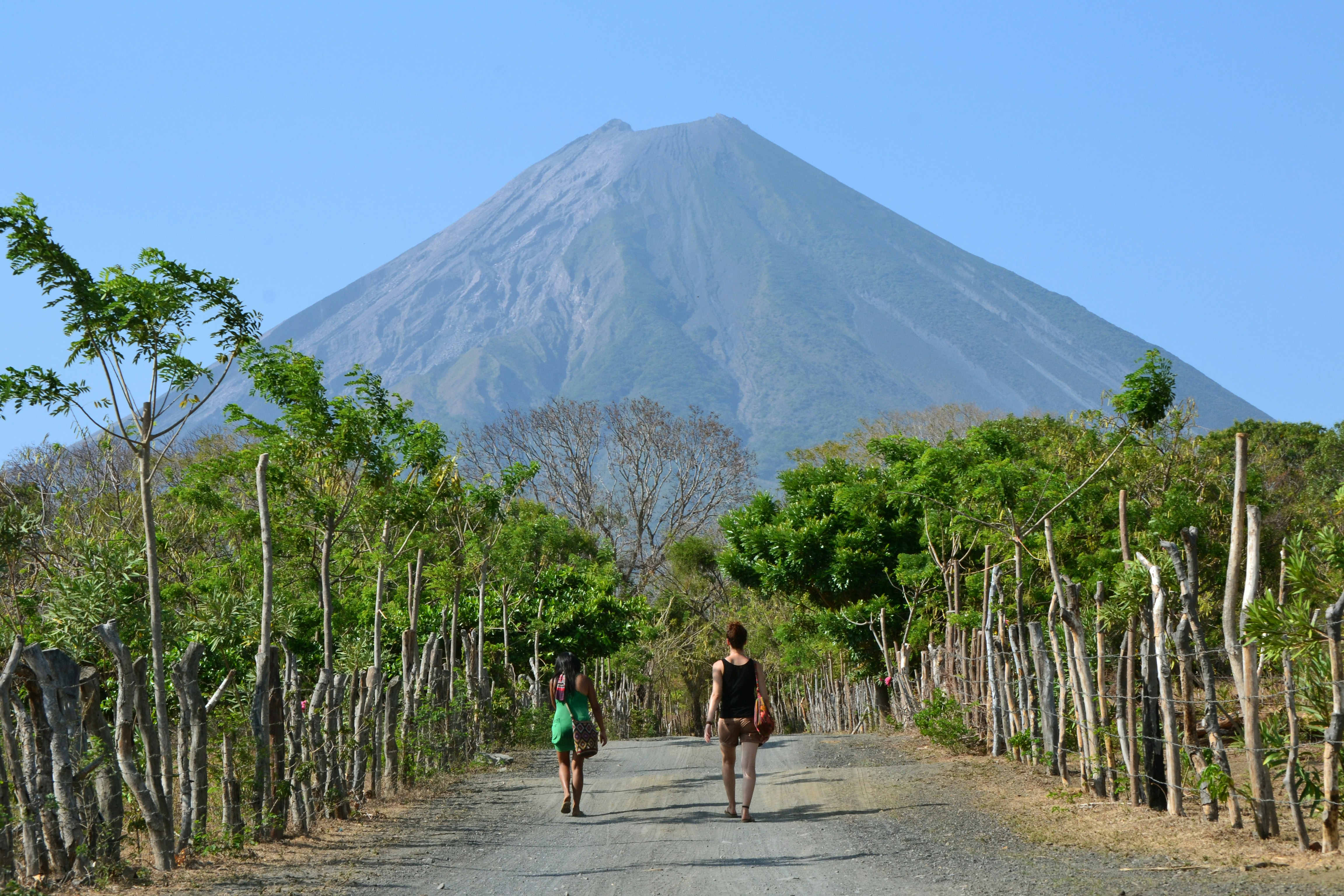 Two people walk down a tree-lined road towards a volcano. 