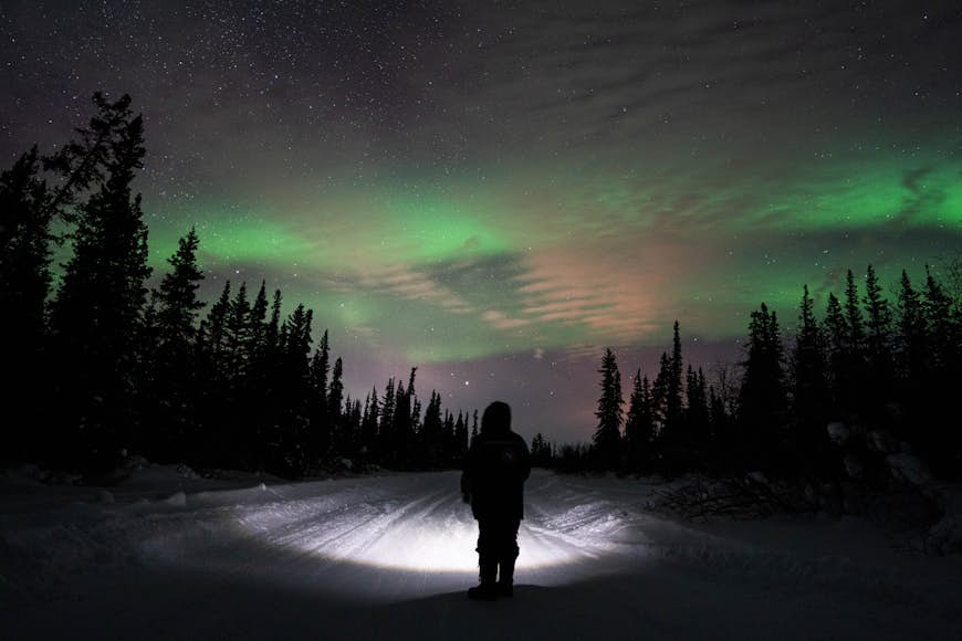 En person insvept i snöprylar står mitt på en snötäckt väg som kantas av träd.  De riktar en ficklampa mot marken och himlen lyser grönt från norrskenet.