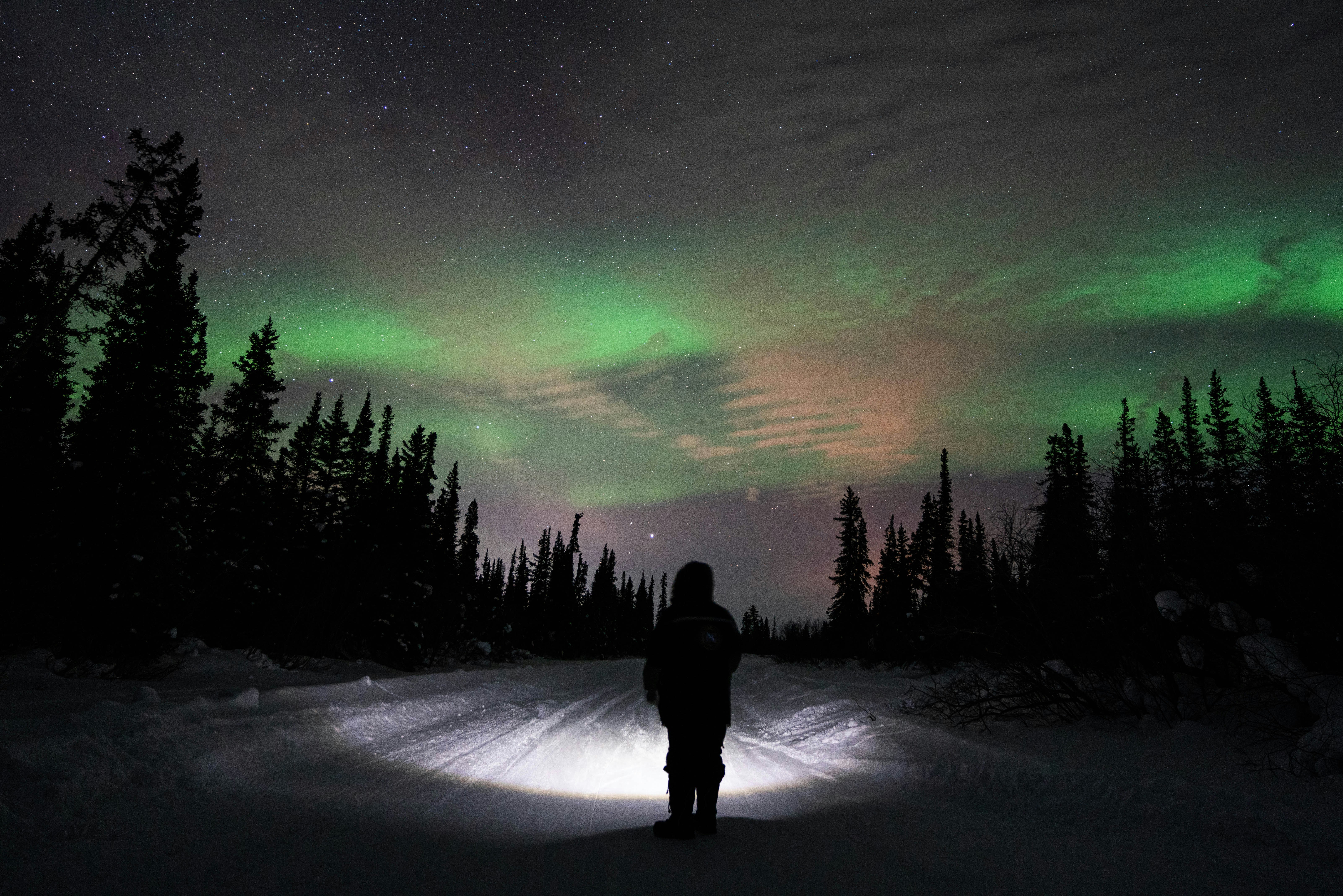 A person wrapped up in snow-gear stands in the middle of a snow-covered road which is lined with trees. They're pointing a flashlight at the ground and the sky is glowing green from the northern lights.