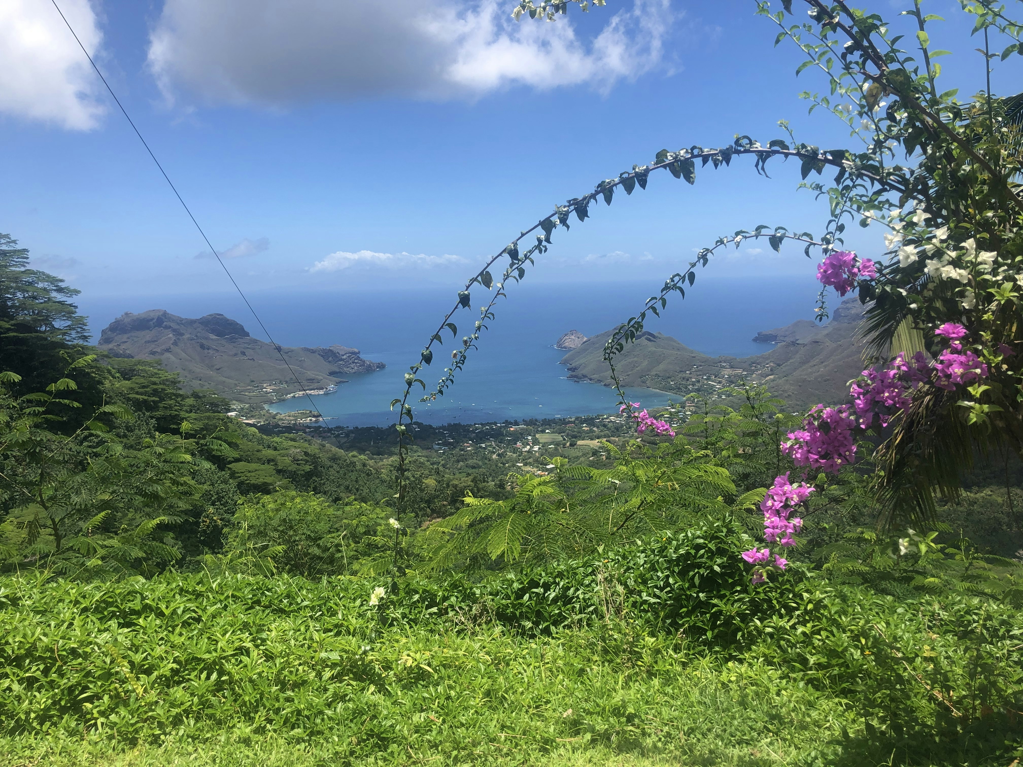 A view of the beach through wildflowers in Nuku Hiva
