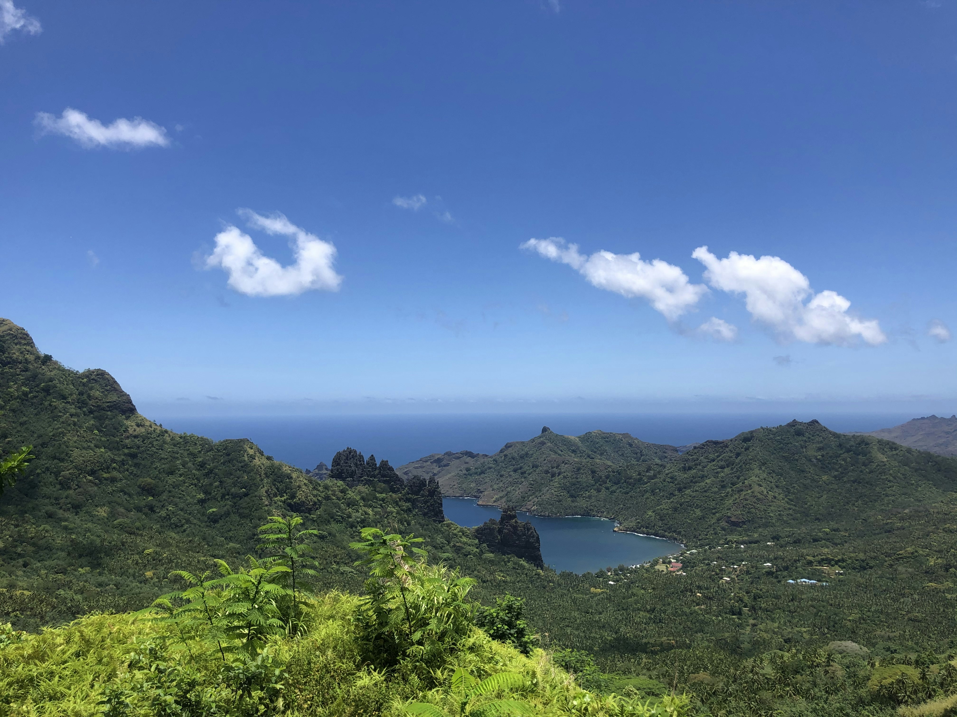 An ariel view of the forests and coastline on Nuku Hiva