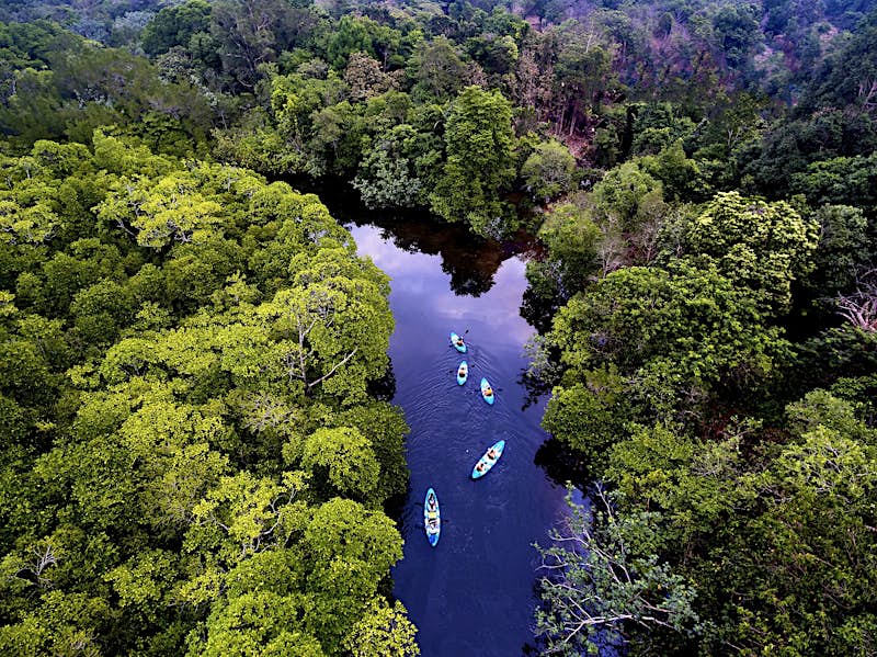 As viewed from high above (likely taken by a drone), this image looks down on five blue kayaks exploring a narrow stretch of waterway between lush forests.