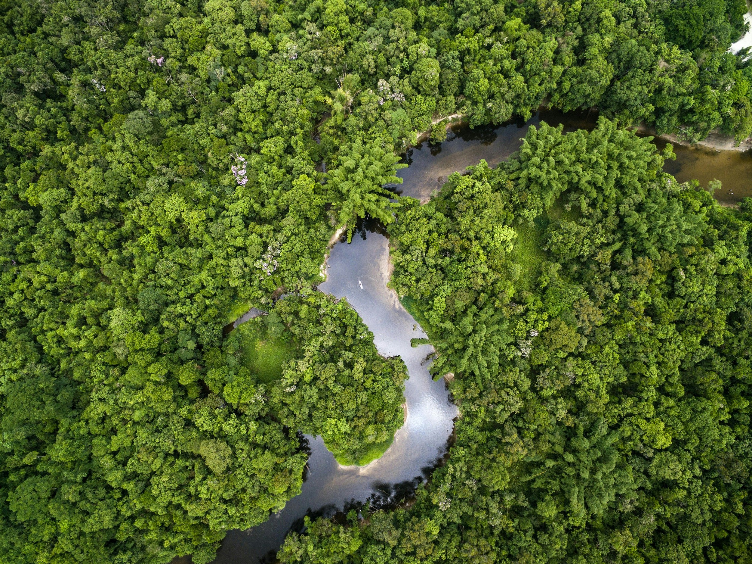 Aerial of a river winding through the Amazon rain forest.