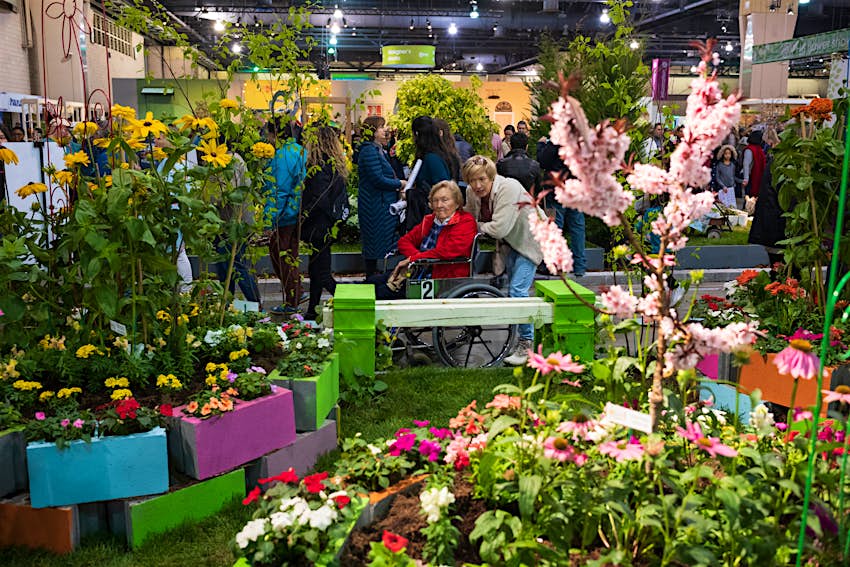 Jump into spring at these US flower shows Lonely