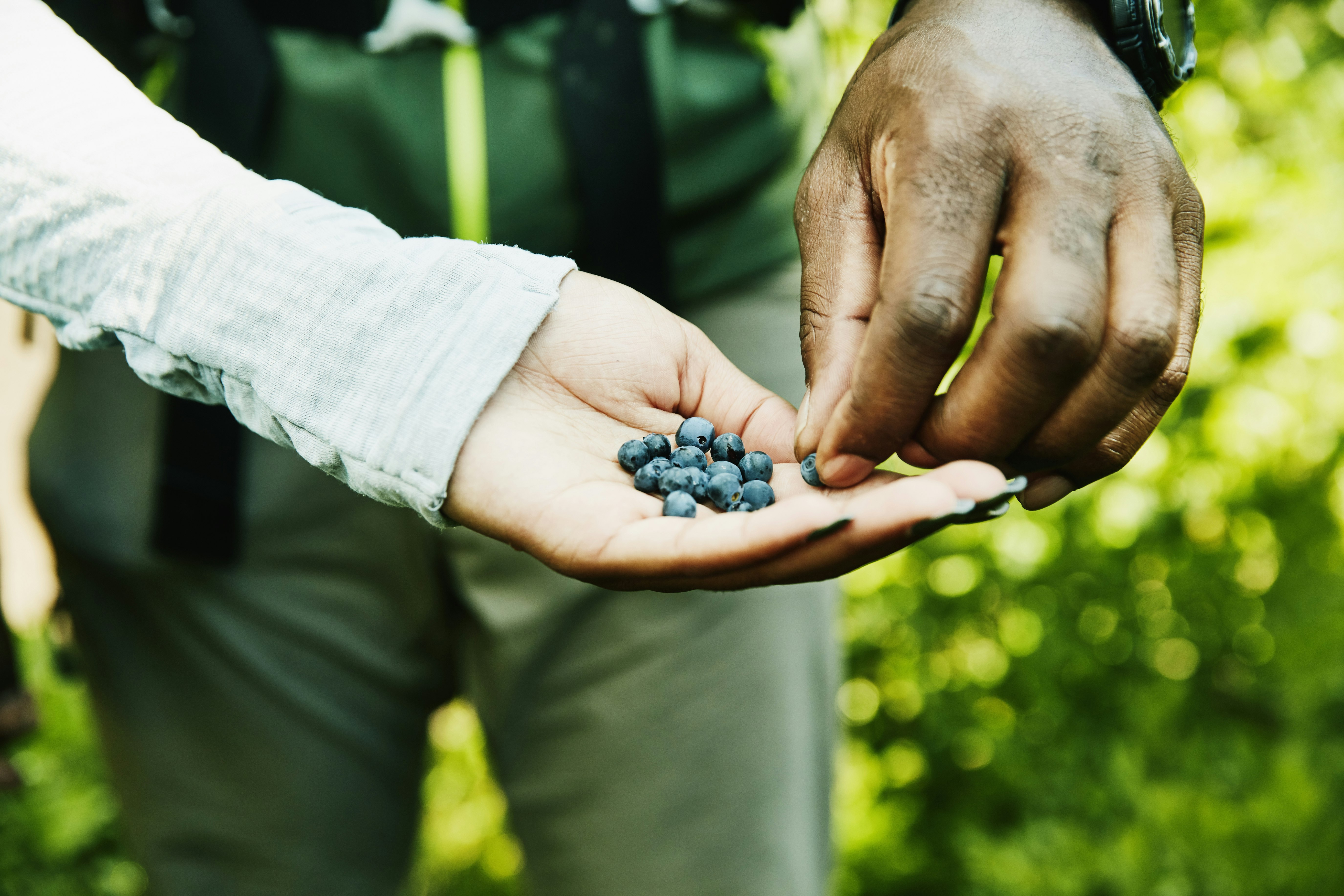 A man's hand reaches to take a blueberry from a woman's cupped hand. Both appear to be wearing hiking clothes, and the blurred background is of foliage.