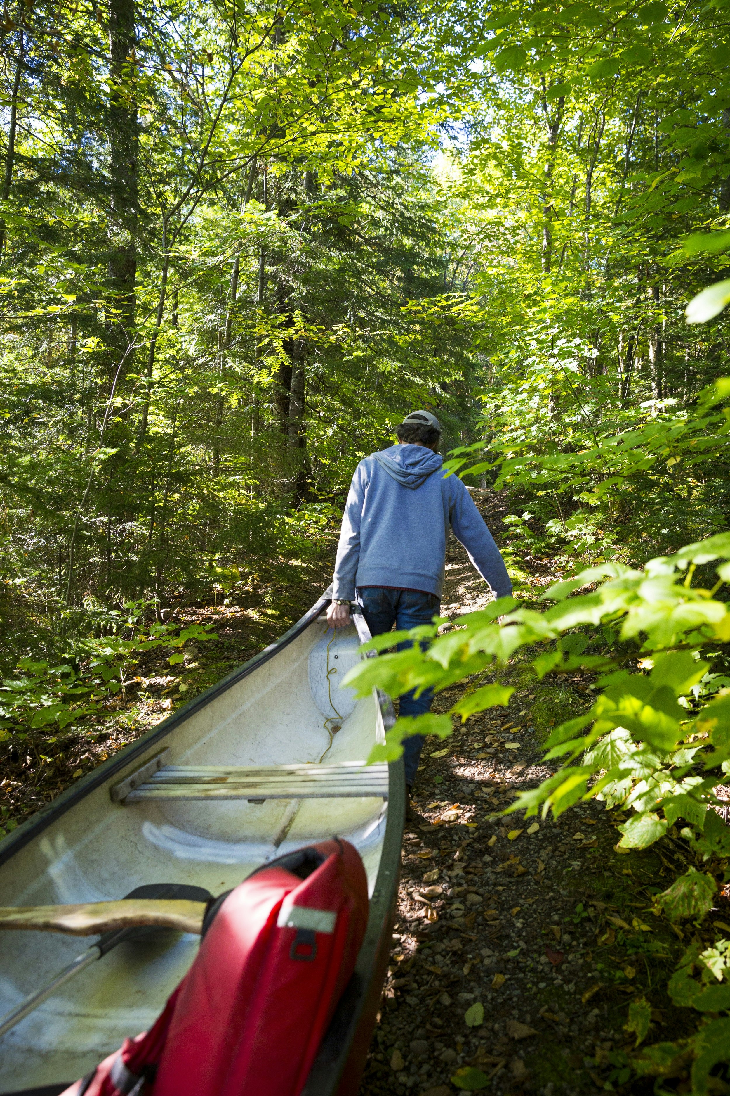 Looking down the length of a canoe from the stern, a person stands in front and carries the boat through a forest on a portage.