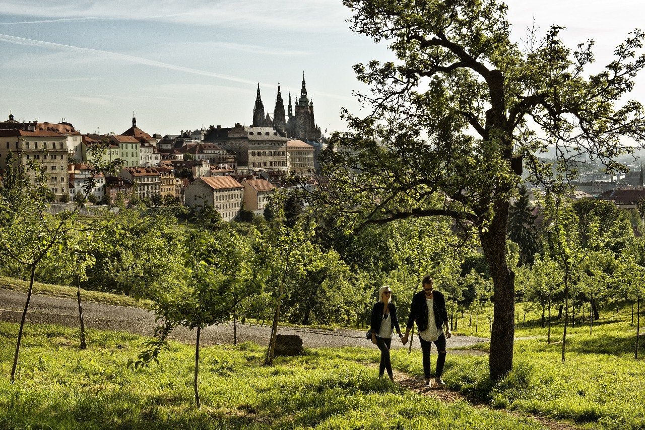 View over Prague from a hilltop park