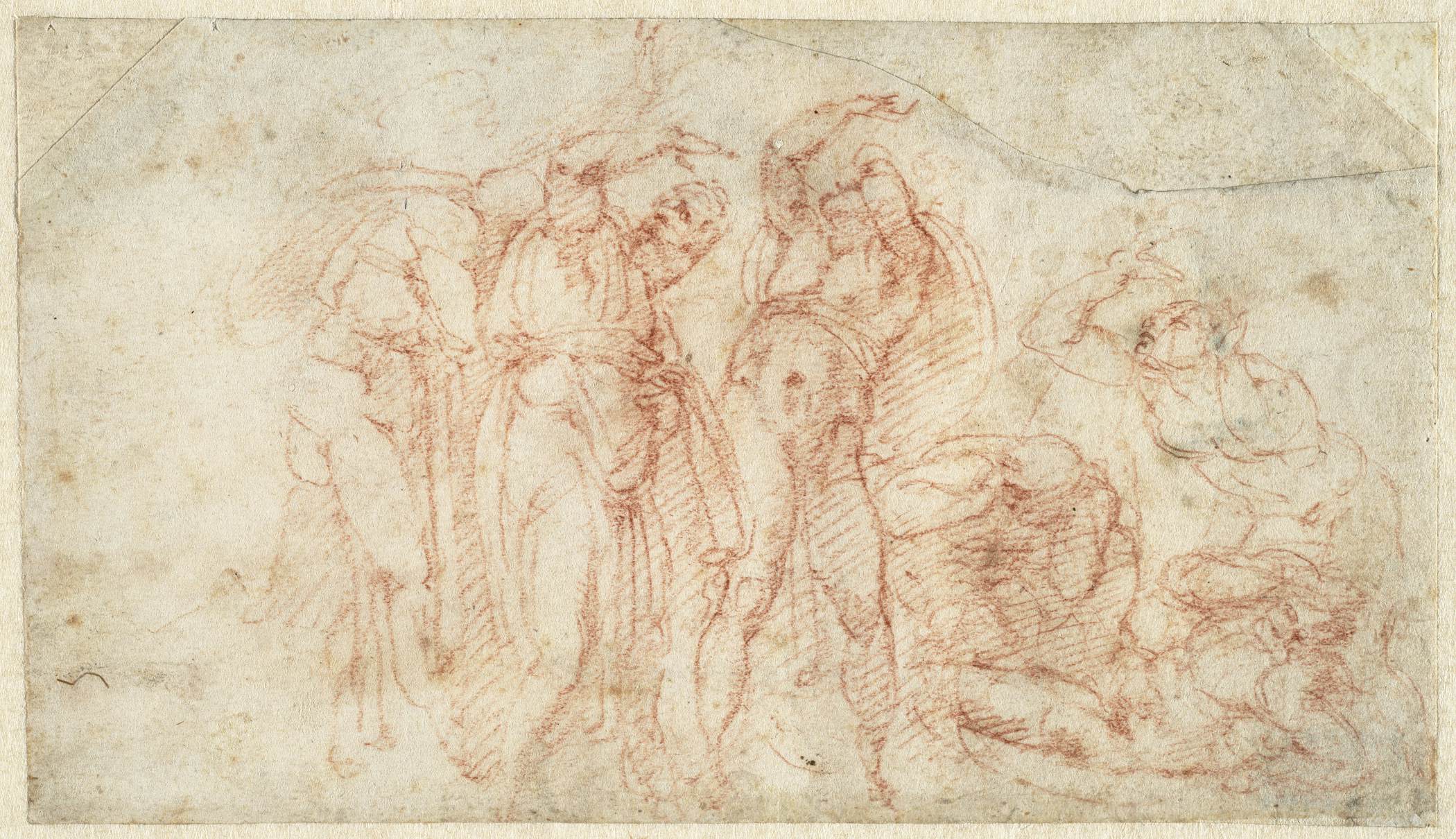 Leonardo  Anatomy PAGE  The Practice of Drawing