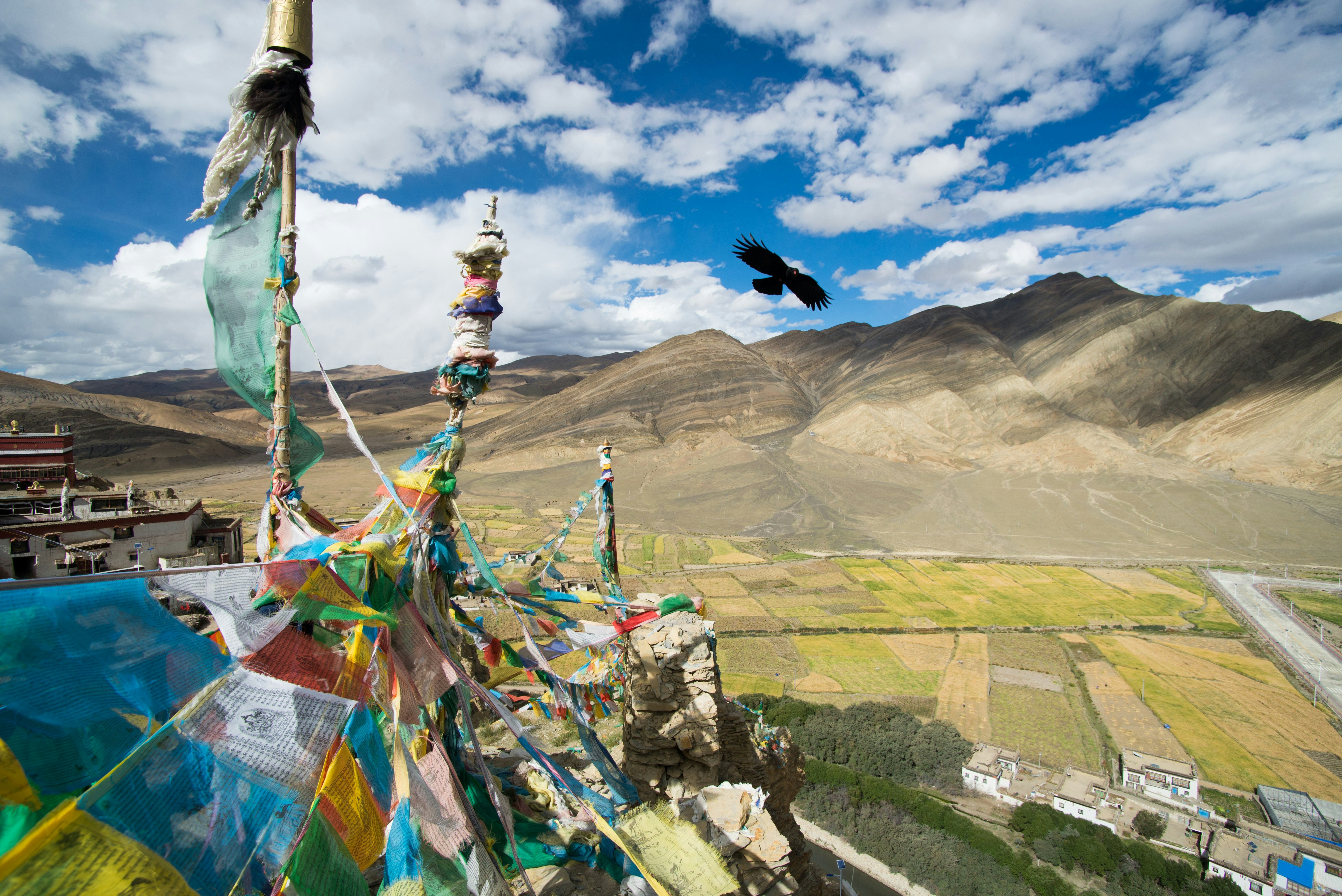 A view from above the monastery. Tibetan prayer flags adorn the top while a bird flies next to them. Mountains are in the background.