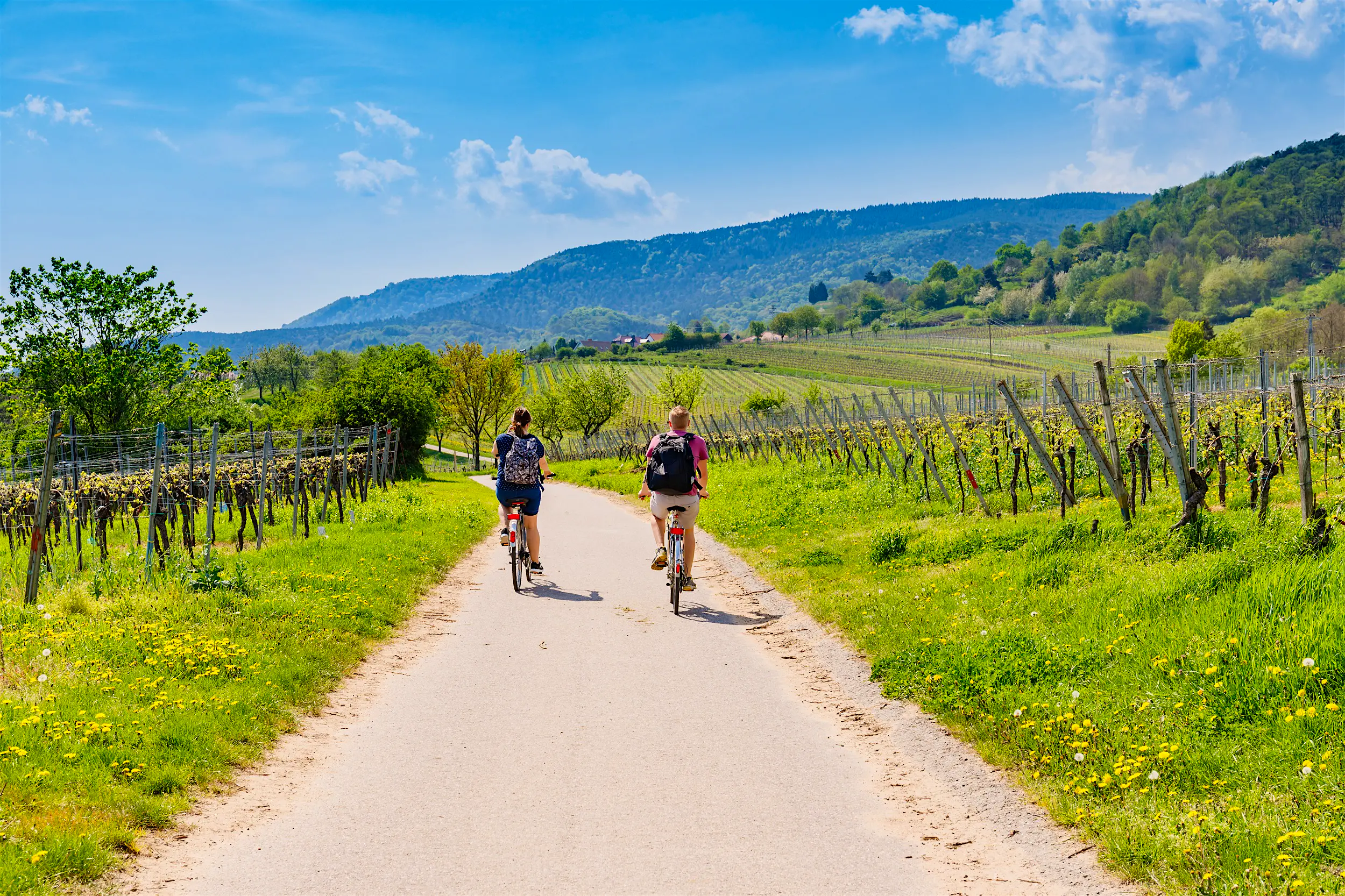 Road Cycling Germany Road Cycling Germany