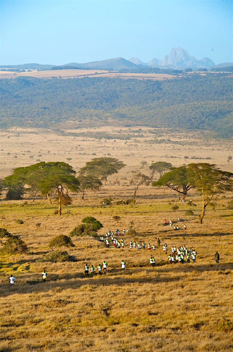 A line of runners snakes its way between acacia trees on the grassy Laikipia Plateau, with the rocky summit of Mt Kenya in the distance.