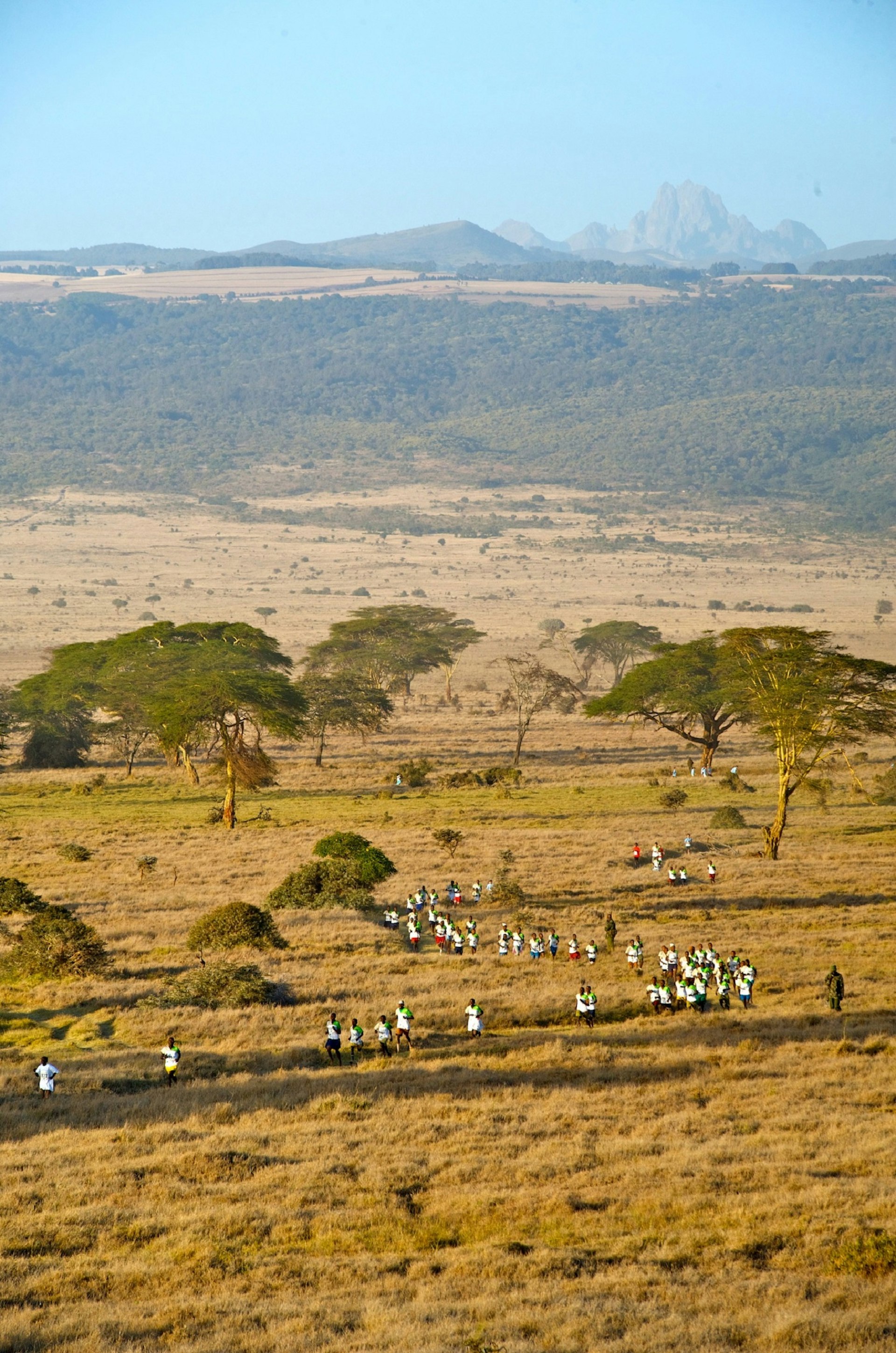 A line of runners snakes its way between acacia trees on the grassy Laikipia Plateau, with the rocky summit of Mt Kenya in the distance.