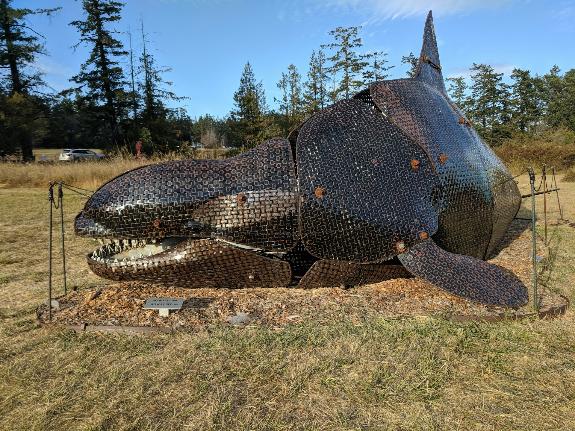 A large metal sculpture of a whale sits in the San Juan Islands Sculpture Fields near Roche Harbor, Washington 
