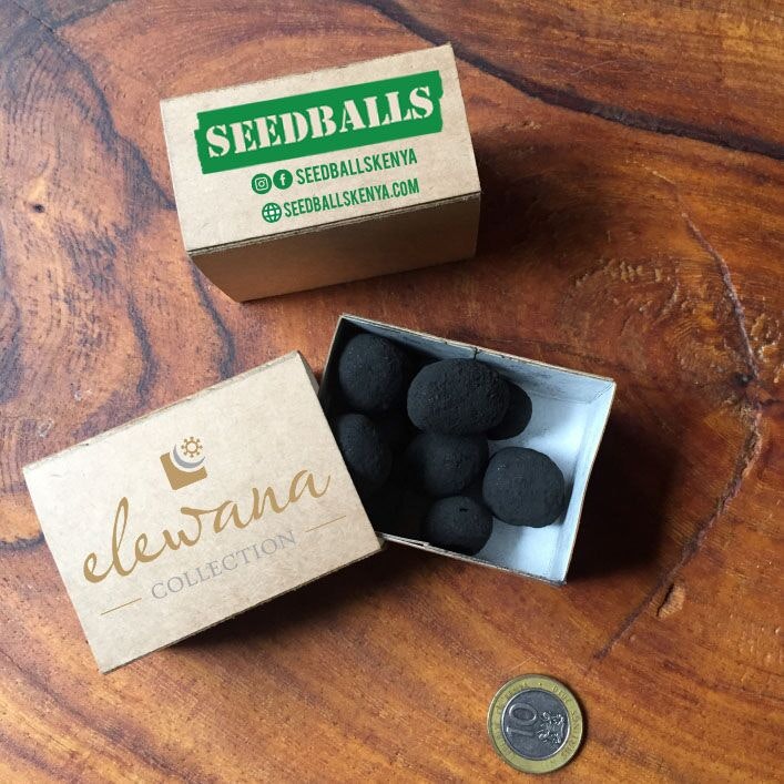 A box of seedballs have been left on a counter next to a euro coin for scale