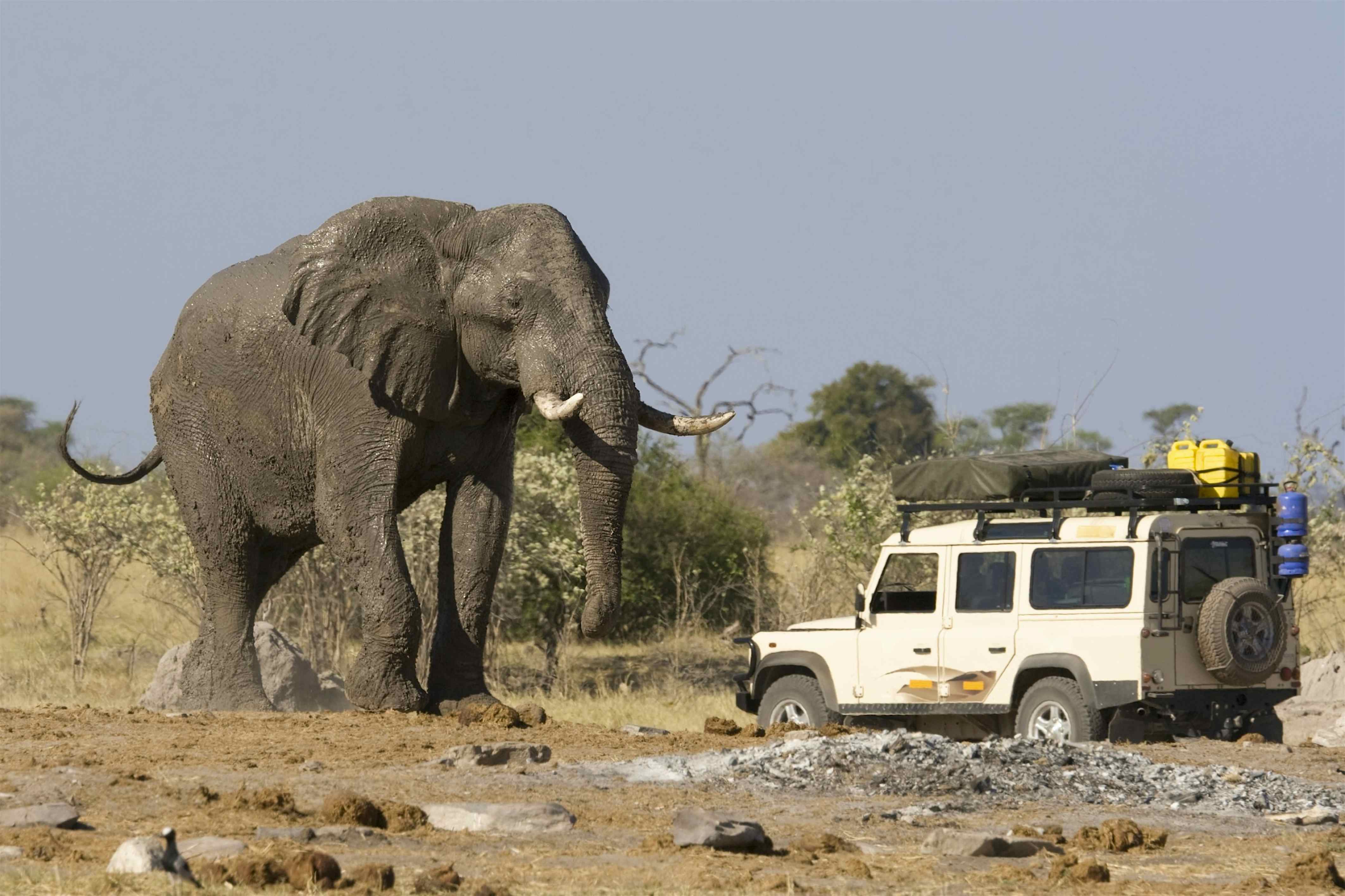 self drive safari mozambique