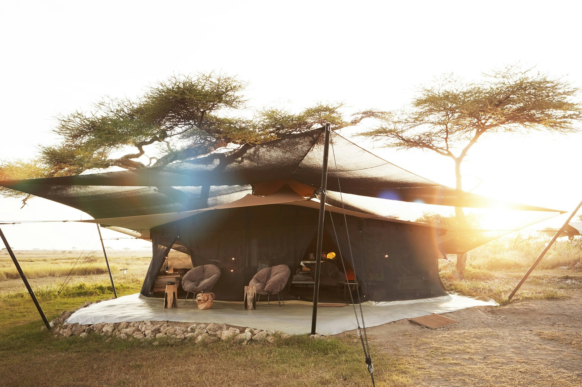 An elegant canvas tent held up by angled metal poles sits suspended beneath an acacia tree on the savanna; there are comfy chairs sitting outside the large tent.