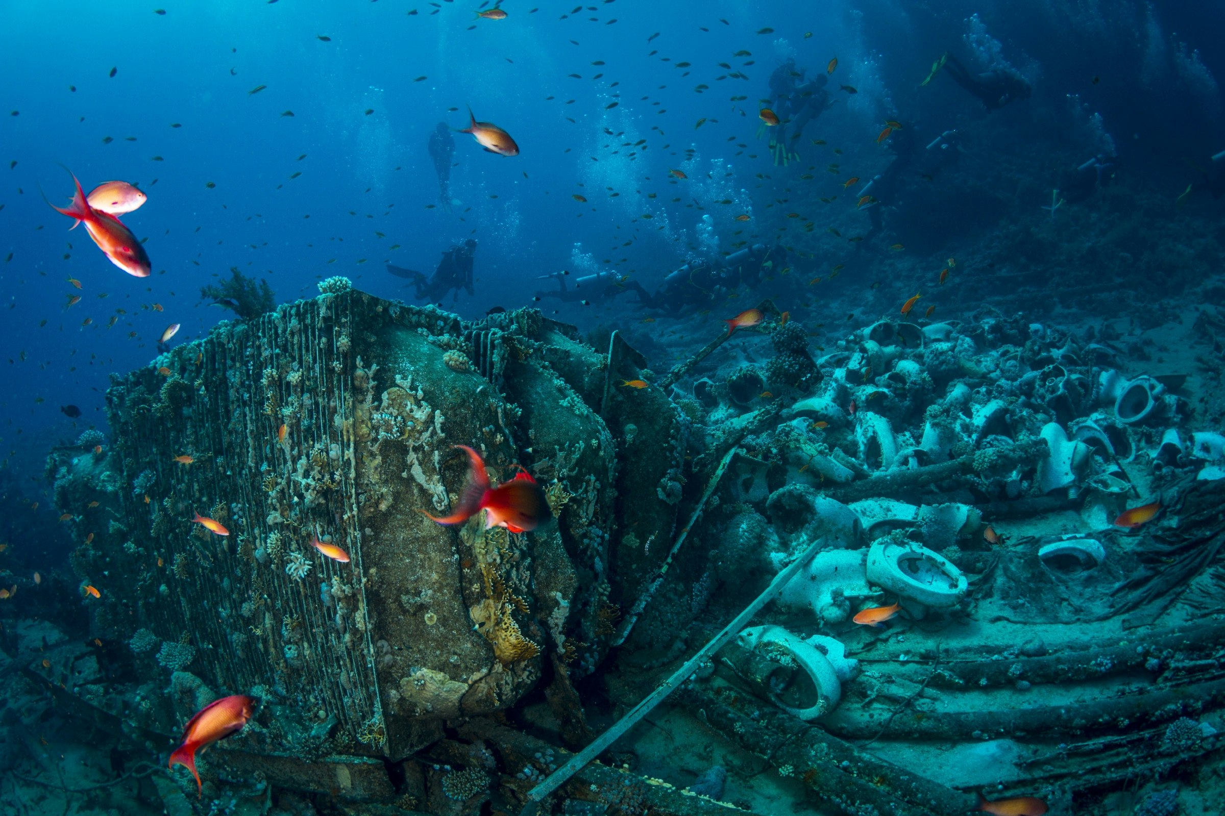 Fish and divers swim through deep blue water. 