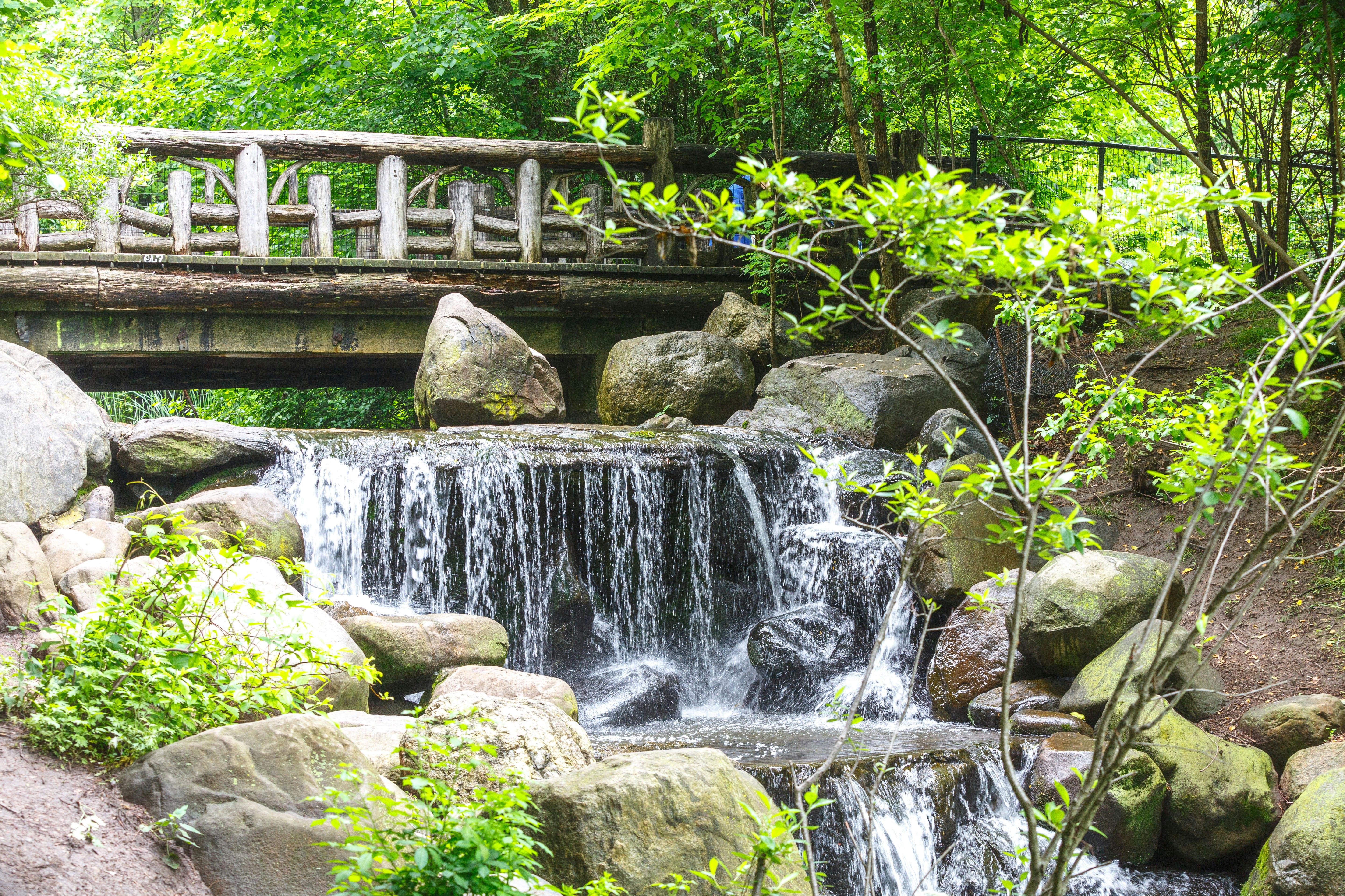 A small waterfall and bridge at Prospect Park in Brooklyn.