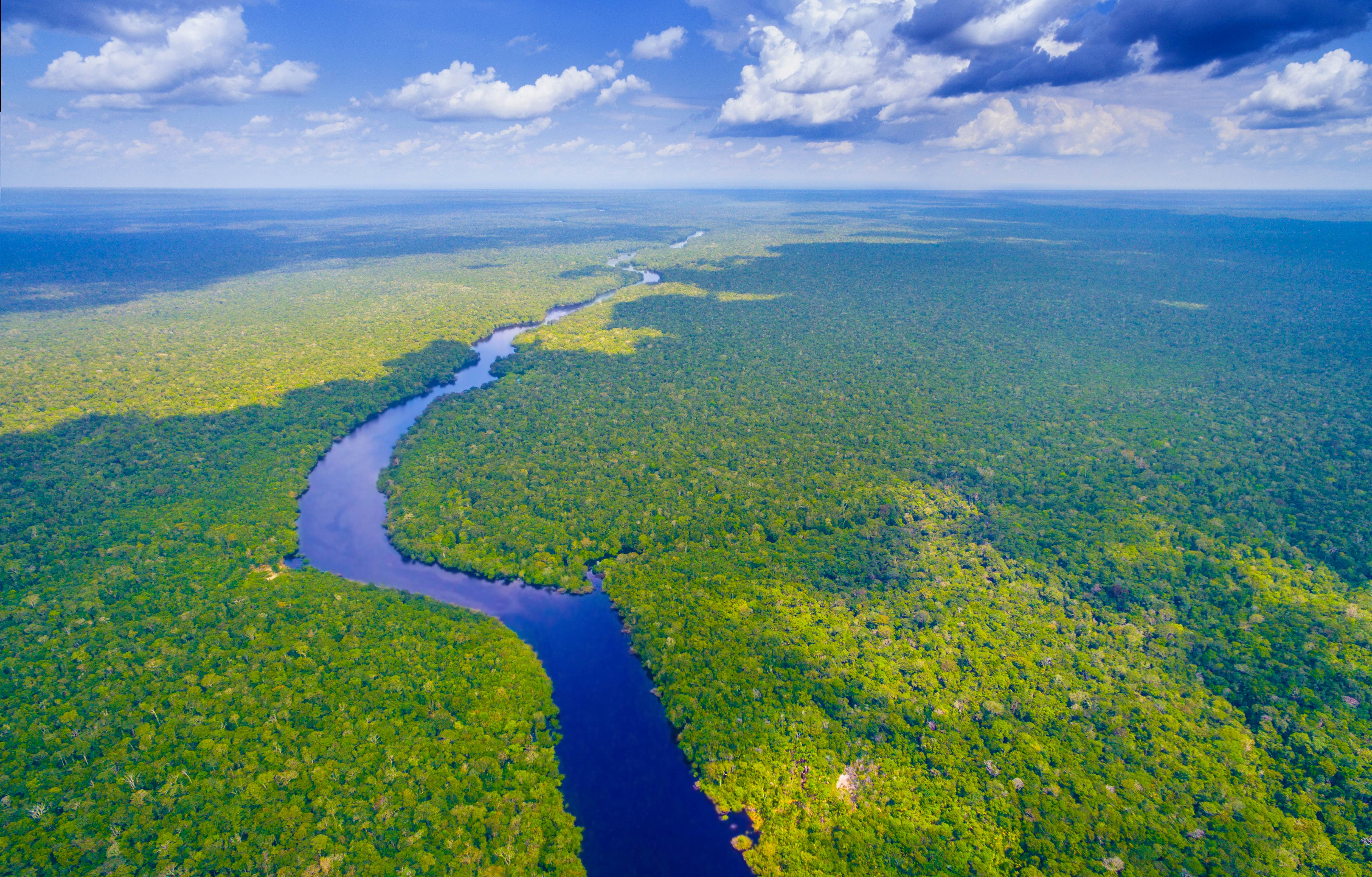 The Amazon Rainforest Is Under Threat Here S How You Can Help Lonely Planet