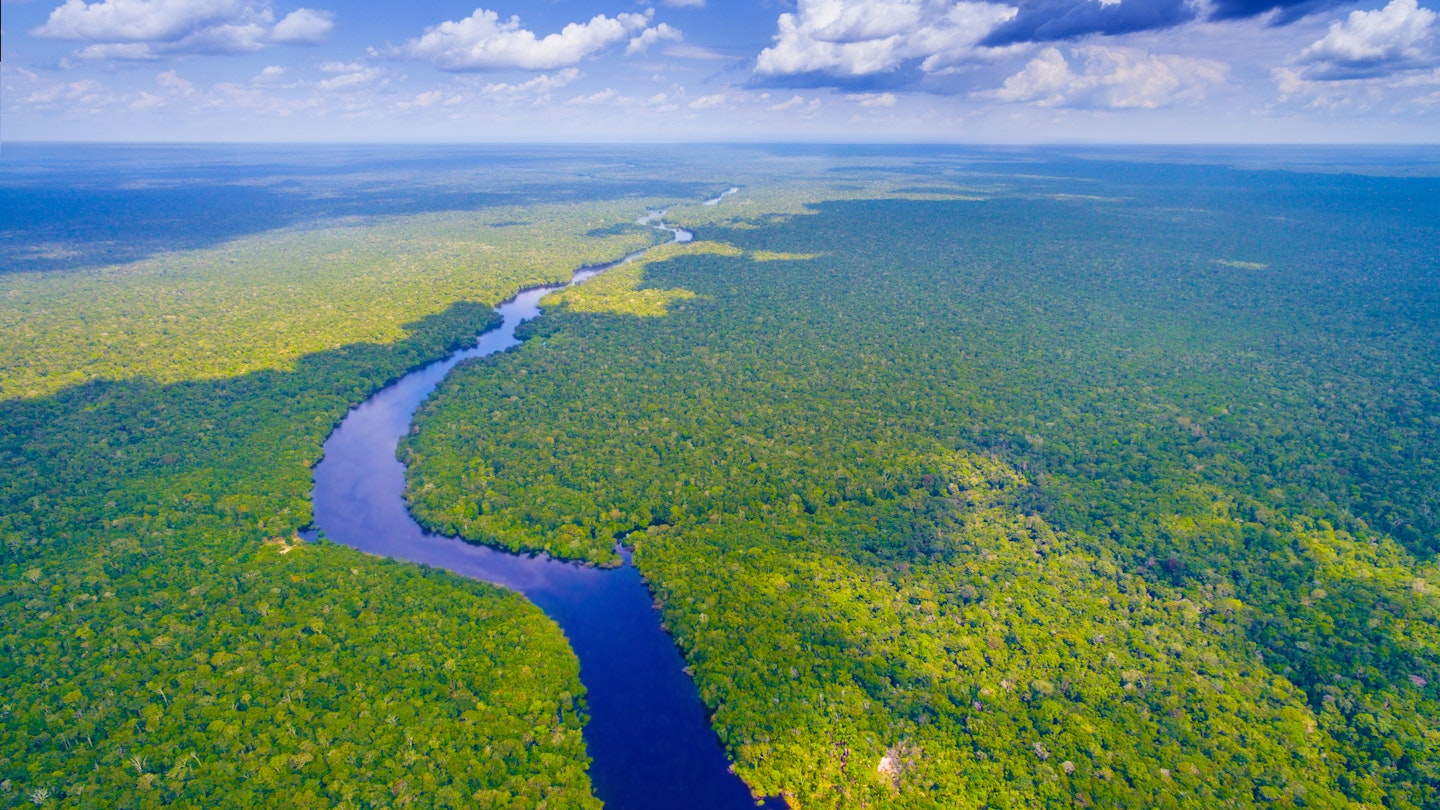 The Amazon rainforest is under threat: here’s how you can help - Lonely ...