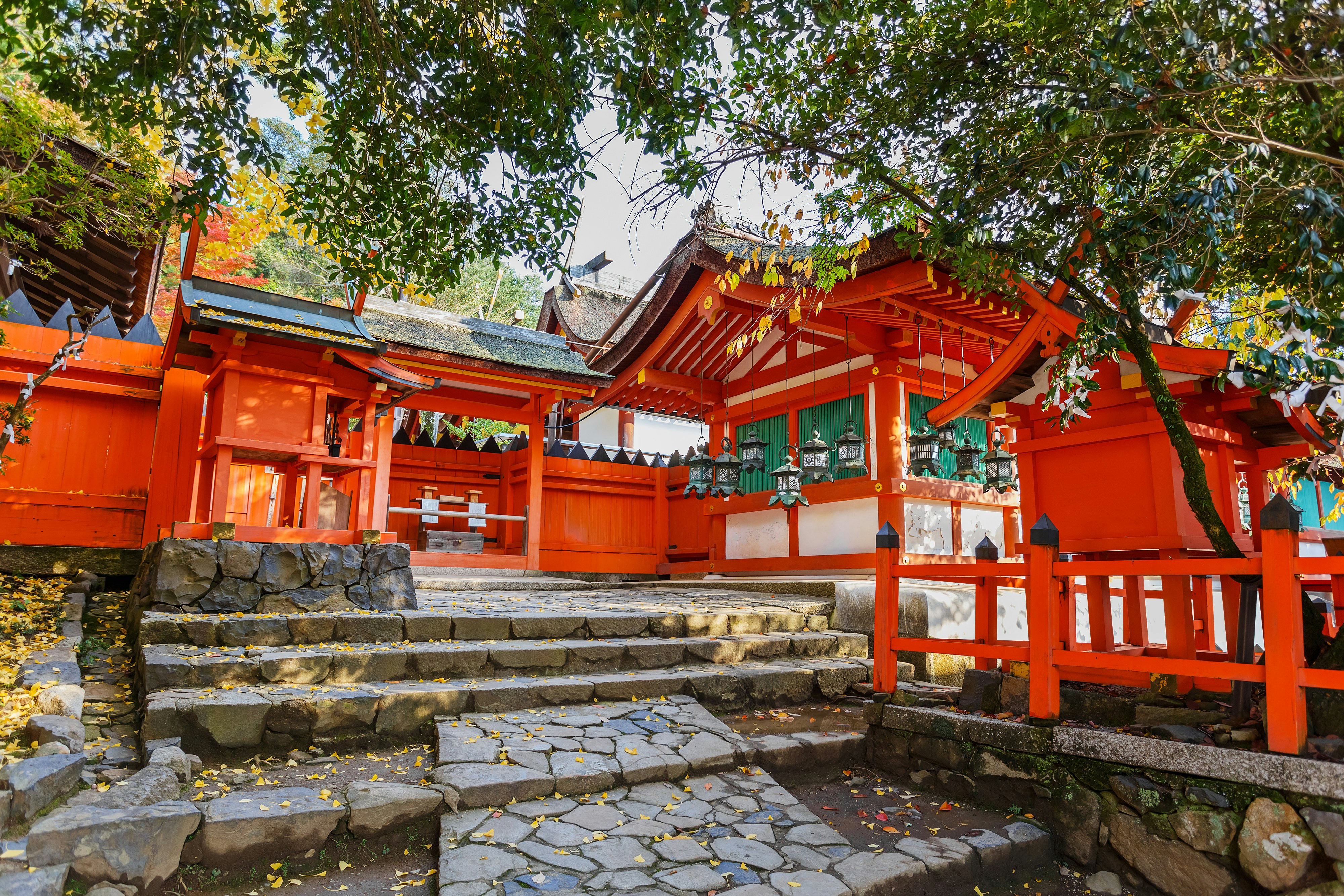 Paved steps leading up to the Kasuga Taisha shrine complex, whose buildings are painted vermilion, with cedar roofs; there is surrounding greenery and some of the walls are lined with lanterns.