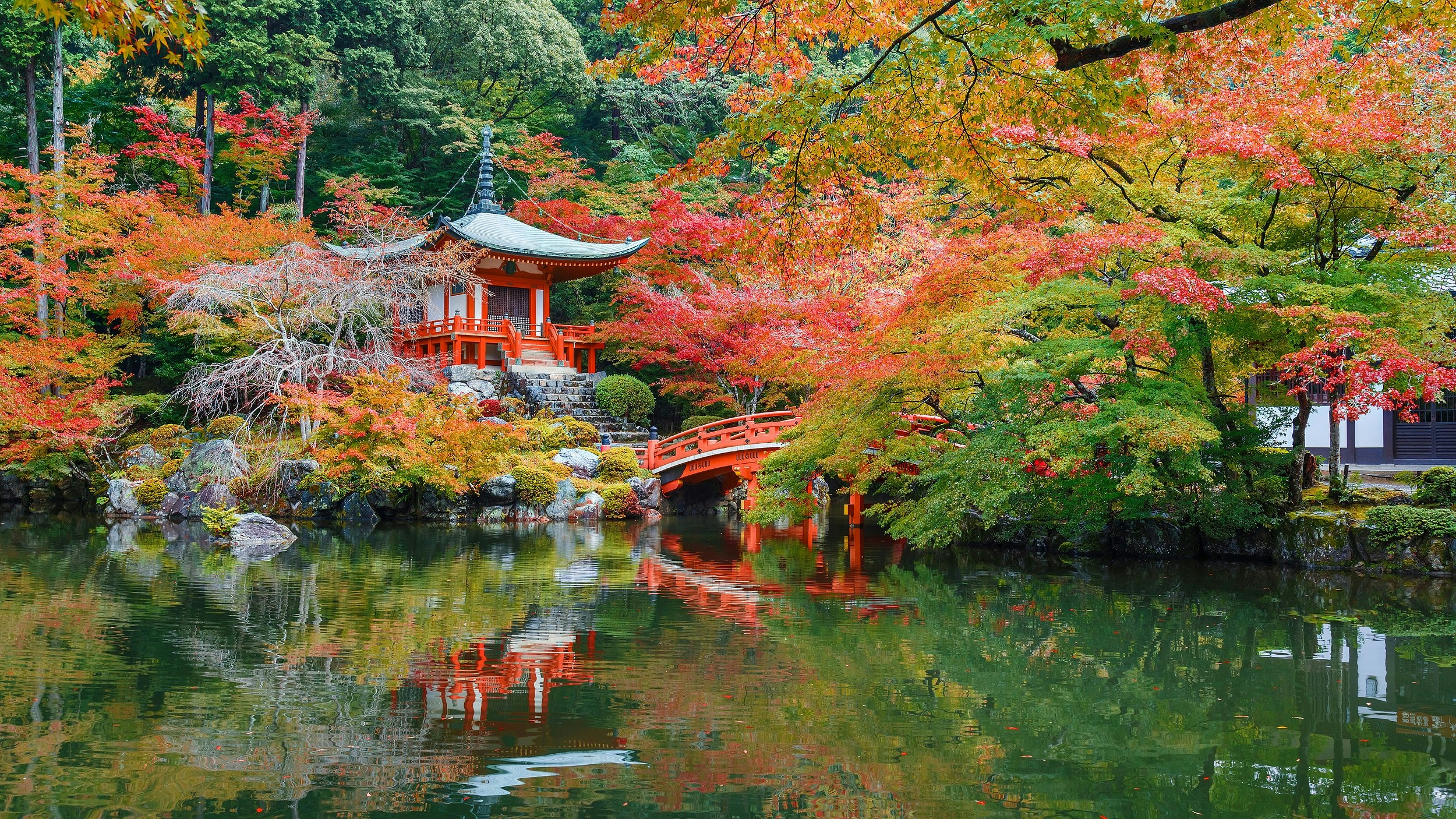 Daigo-ji temple and a wooden bridge over a lake surrounded by reds, yellows and greens of trees and shrubs changing to fall colors