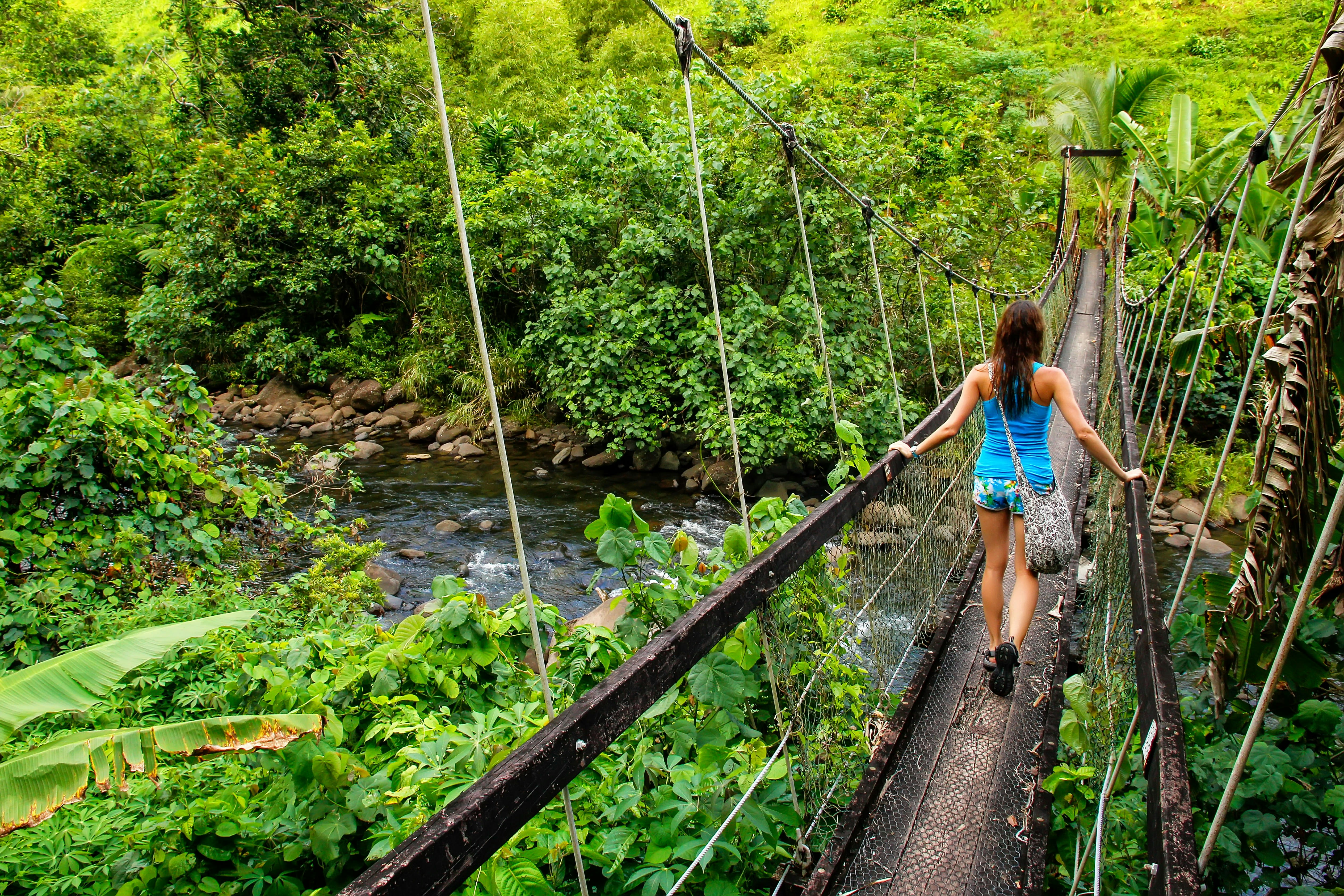 A woman is walking away from the camera, across a rickety bridge in a rainforest. A river runs over a rocky riverbed below.