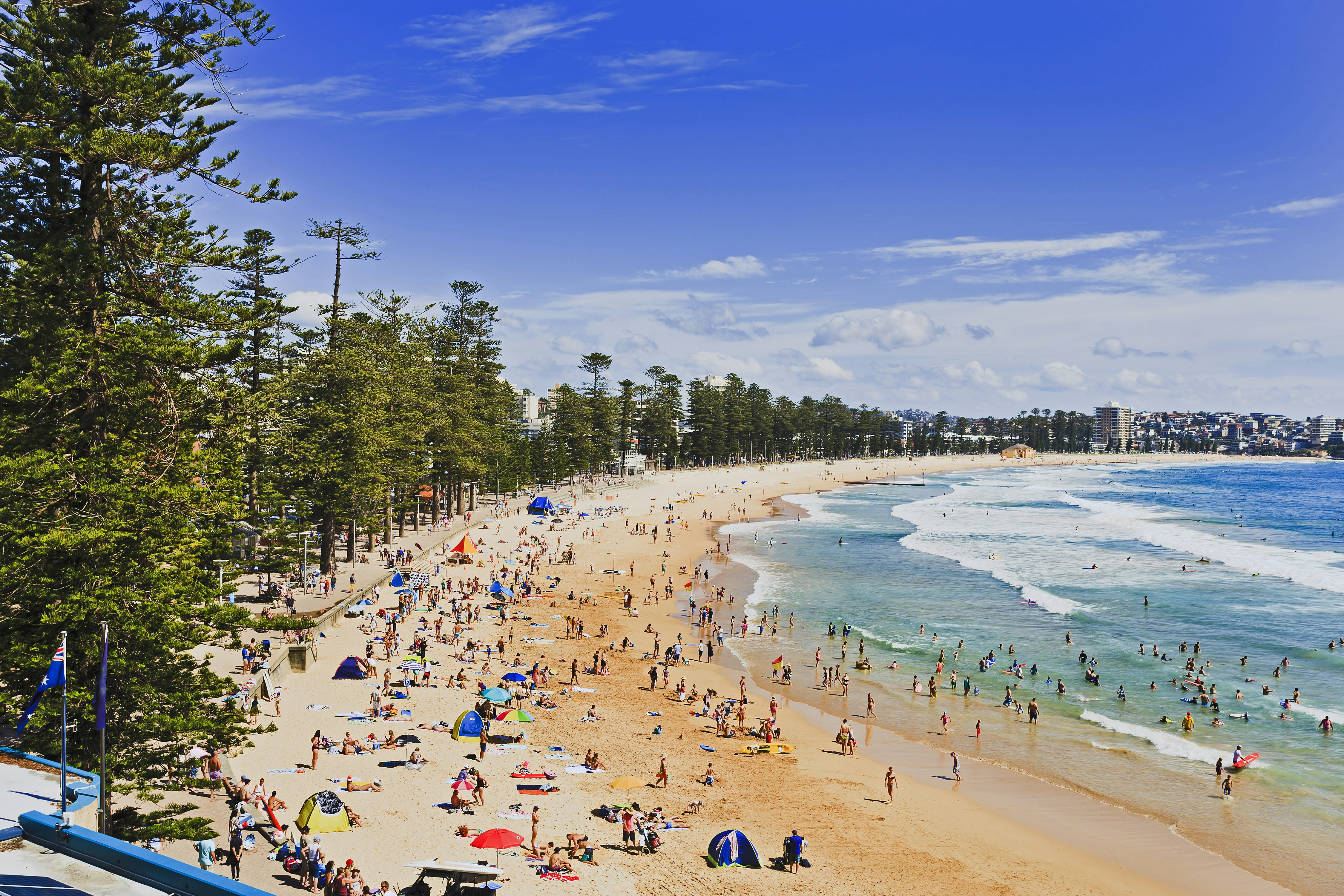 Manly beach on a sunny summer day