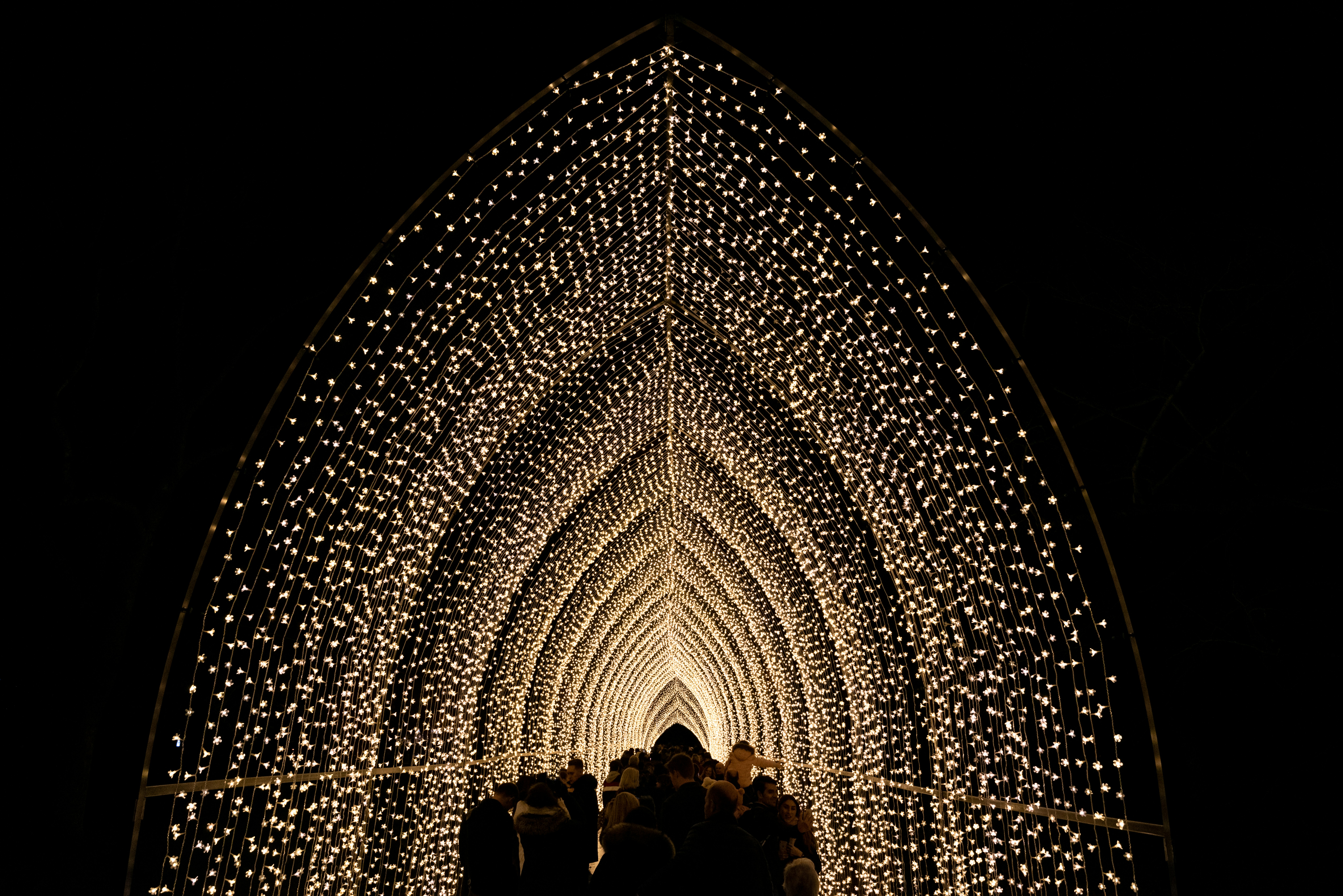 A silhouetted crowd of people walk through a peaked archway of white fairy lights.