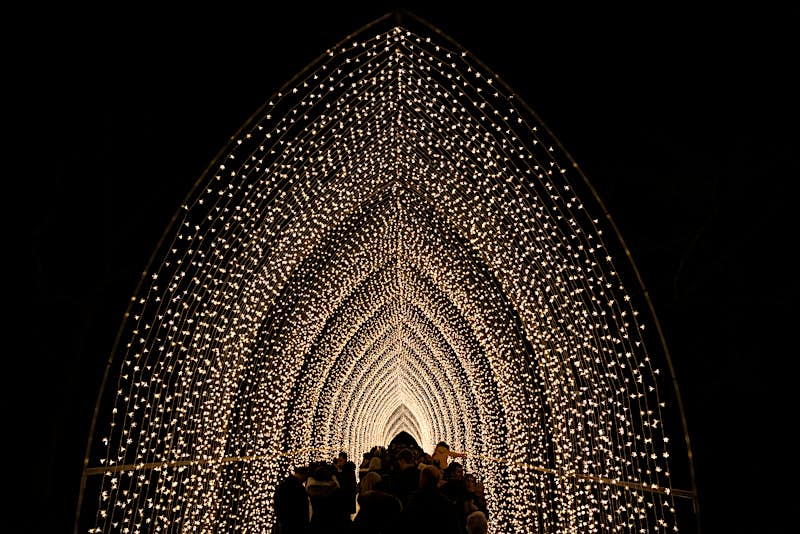 A silhouetted crowd of people walk through a peaked archway of white fairy lights.