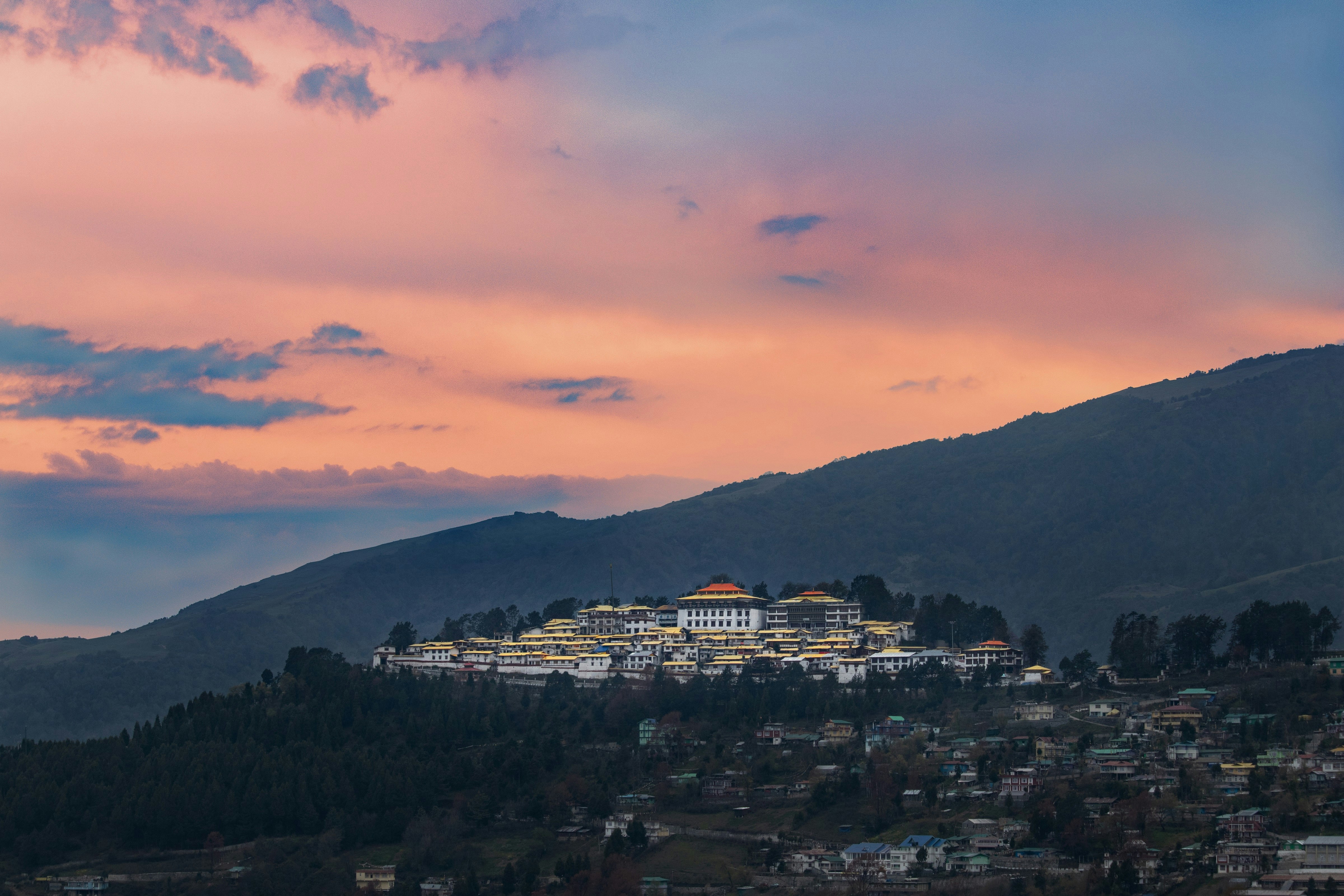 The top of a mountain is filled with countless white buildings with gold roofs, all part of the Tawang monastery.