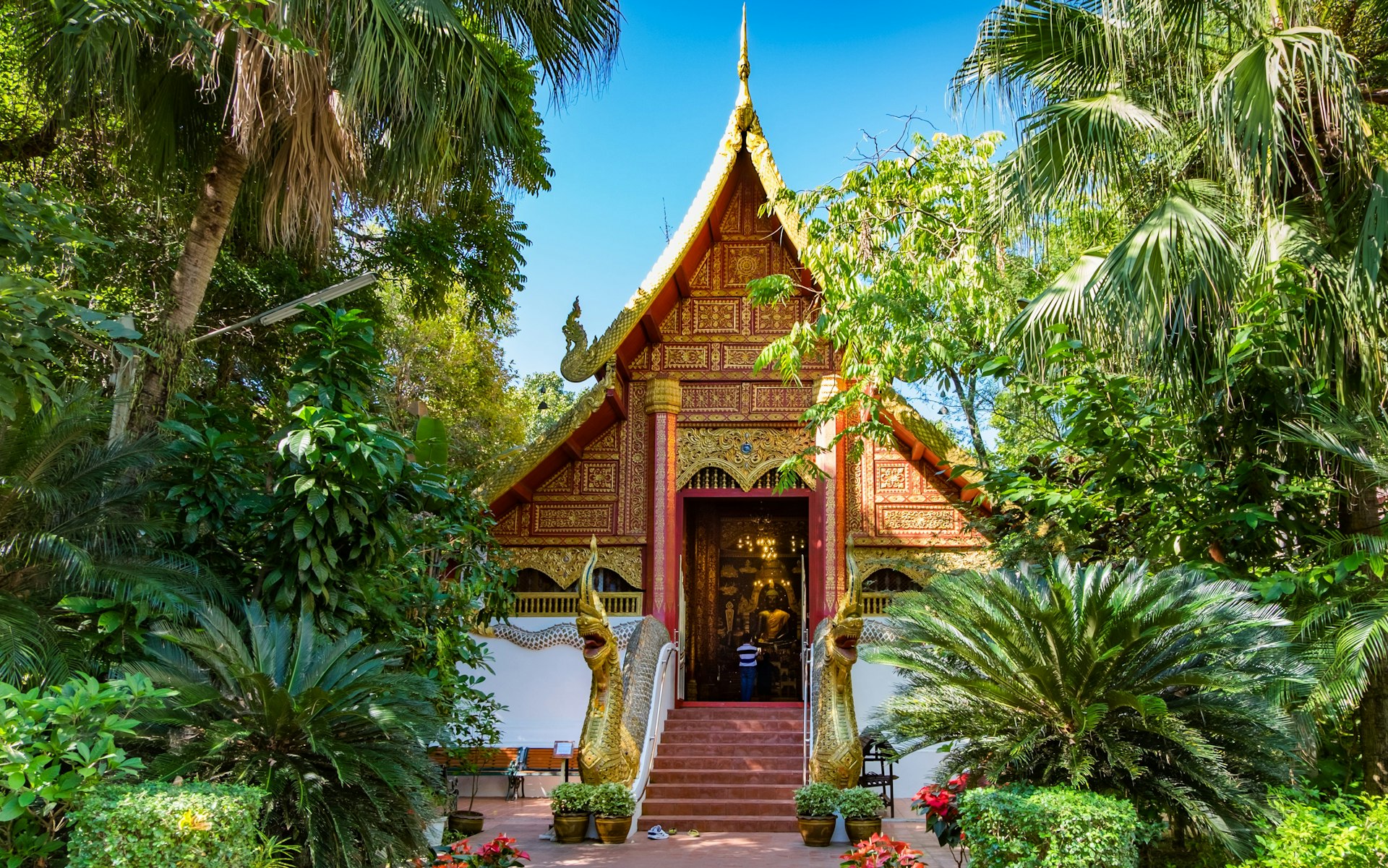 Wat Phra Kaew temple: a small sloping-roofed building, adorned in gold leaf and surrounded by trees and plants.